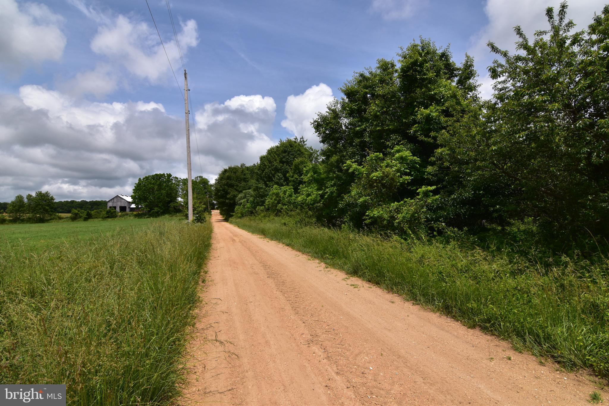 Treed building lot for sale.  See plat for better directions to location.