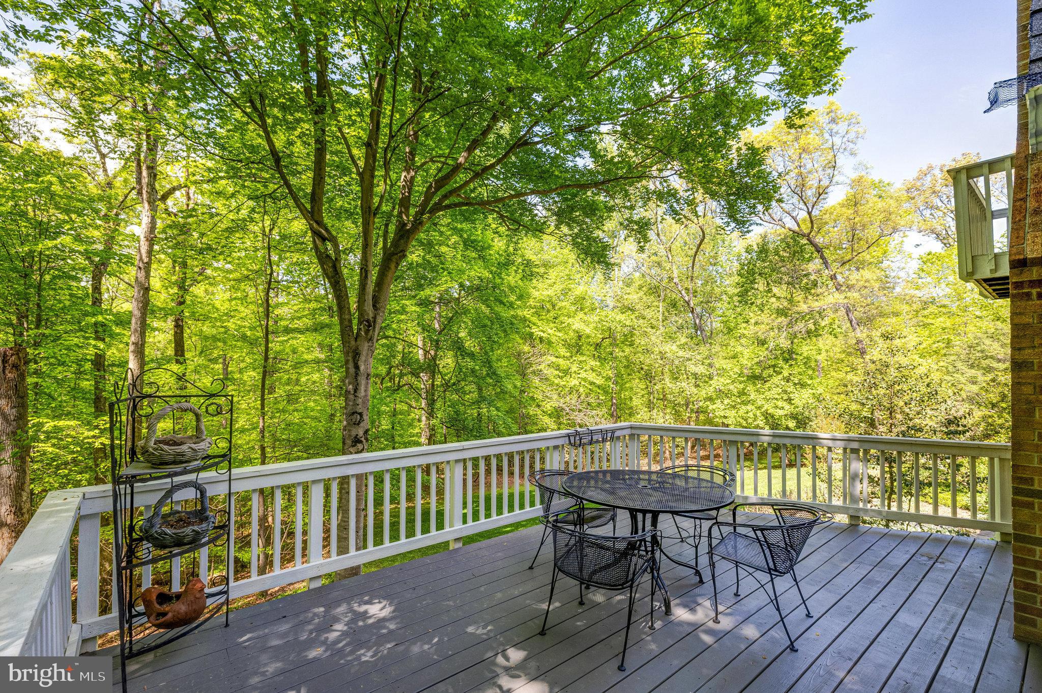 POTOMAC FOREST - Residential