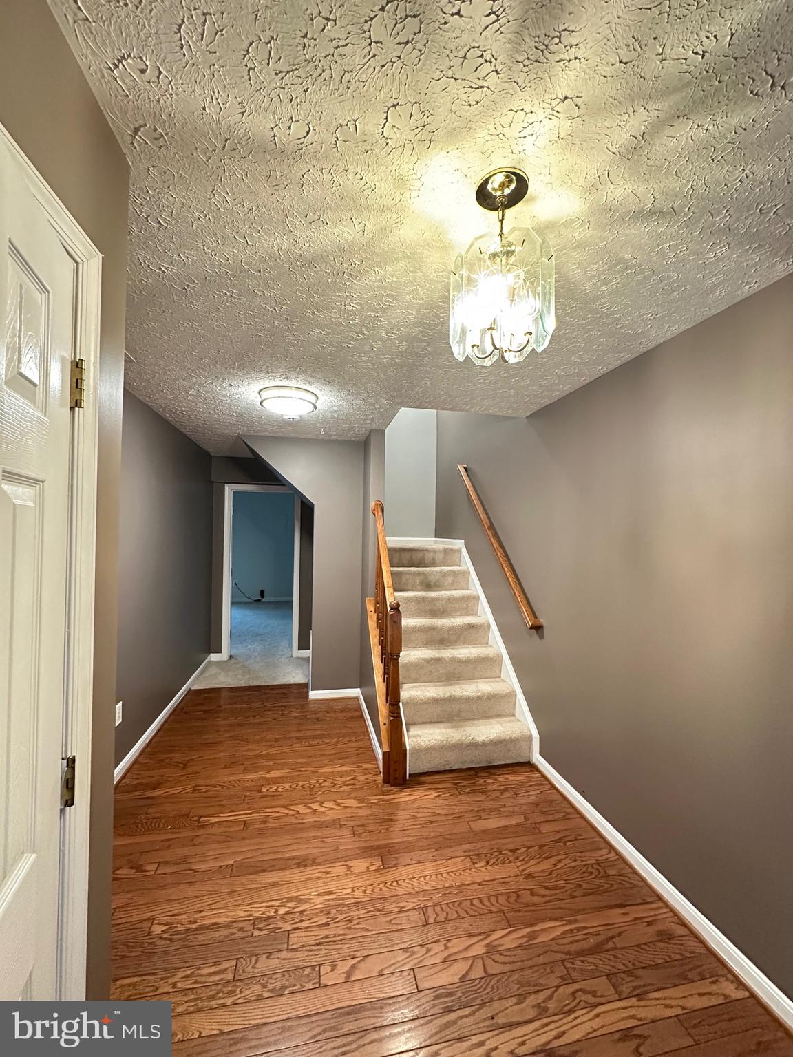 BELMONT STATION - Residential Lease