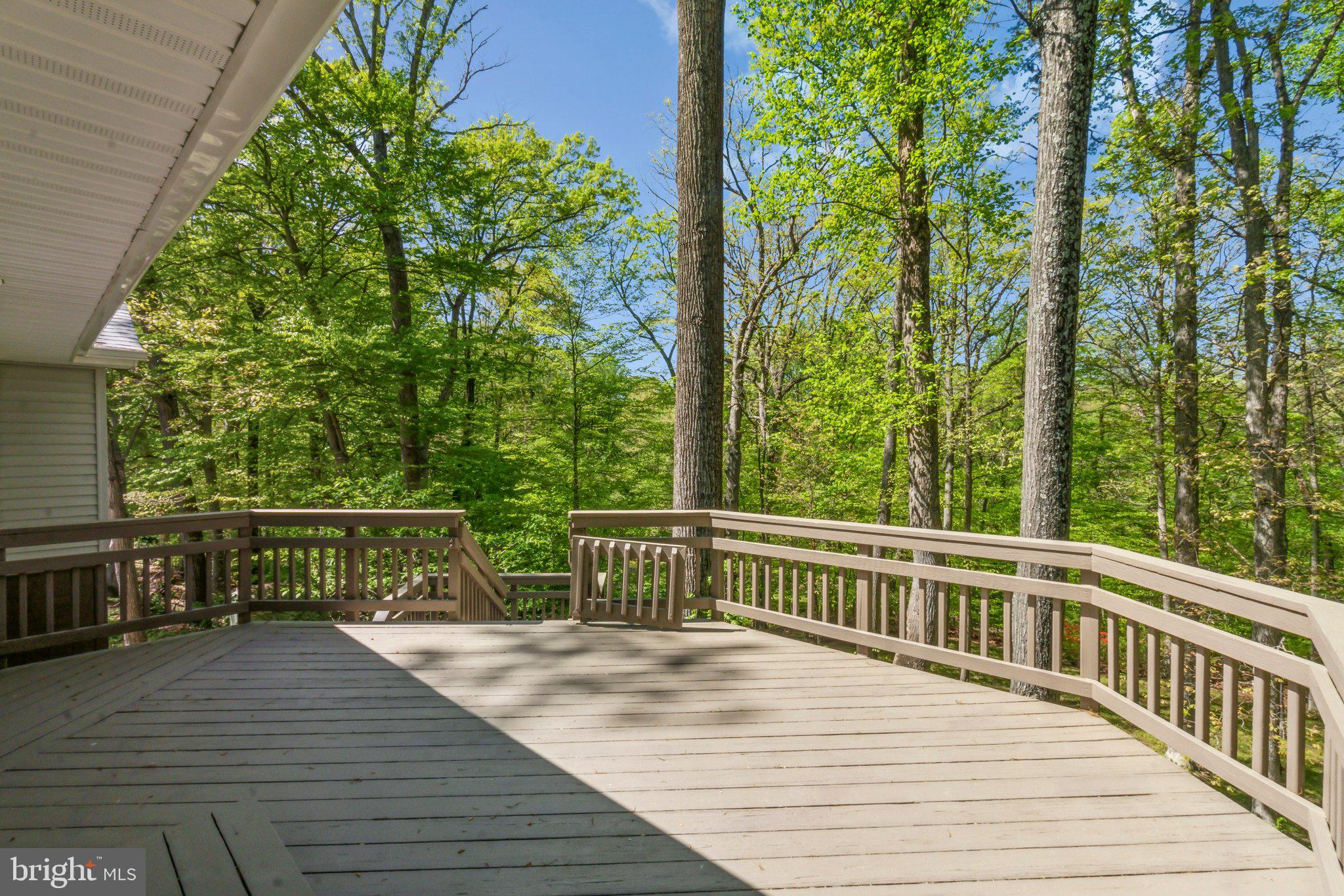 NORTH SPRINGFIELD - Residential