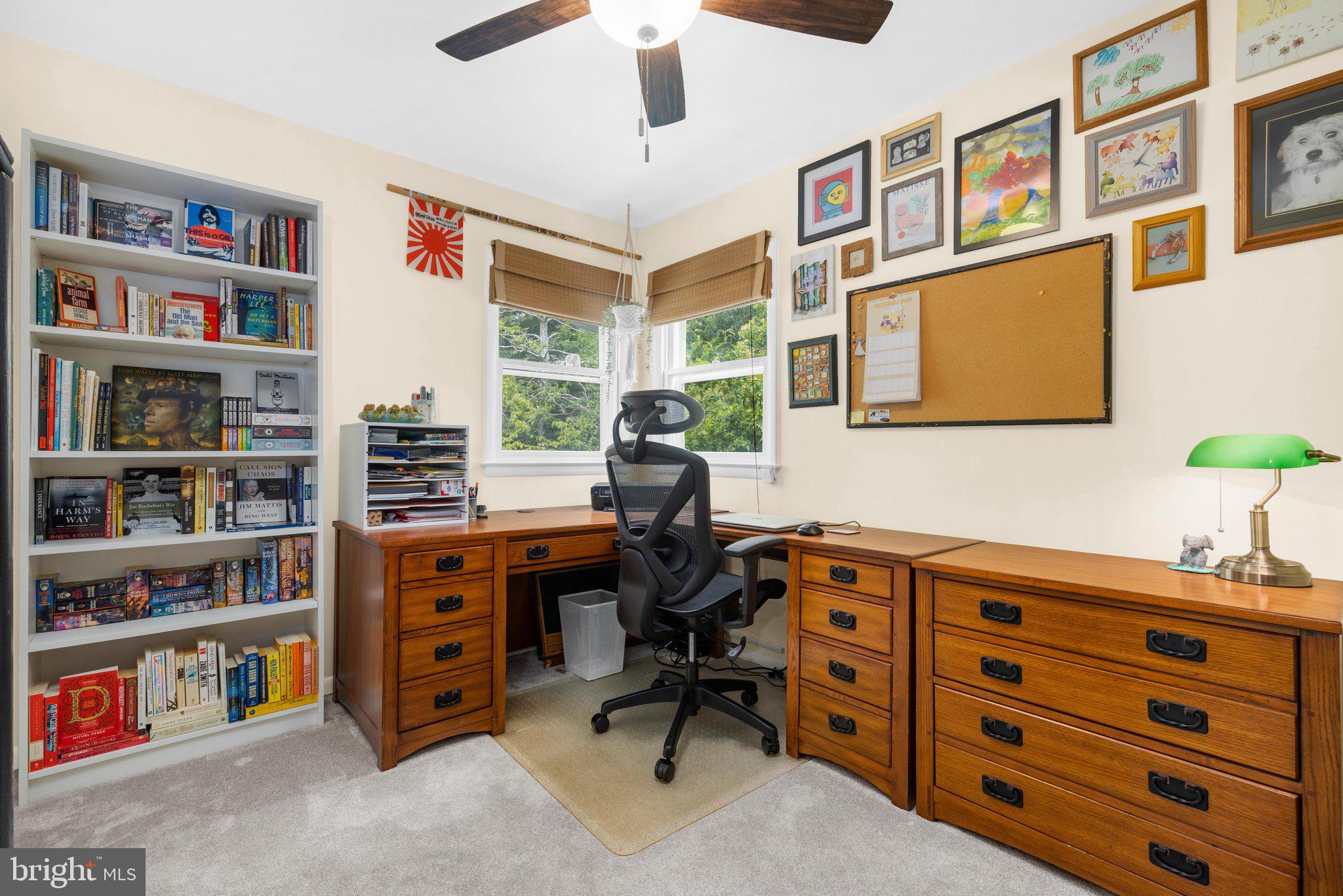PLEASANT PLAINS - Residential