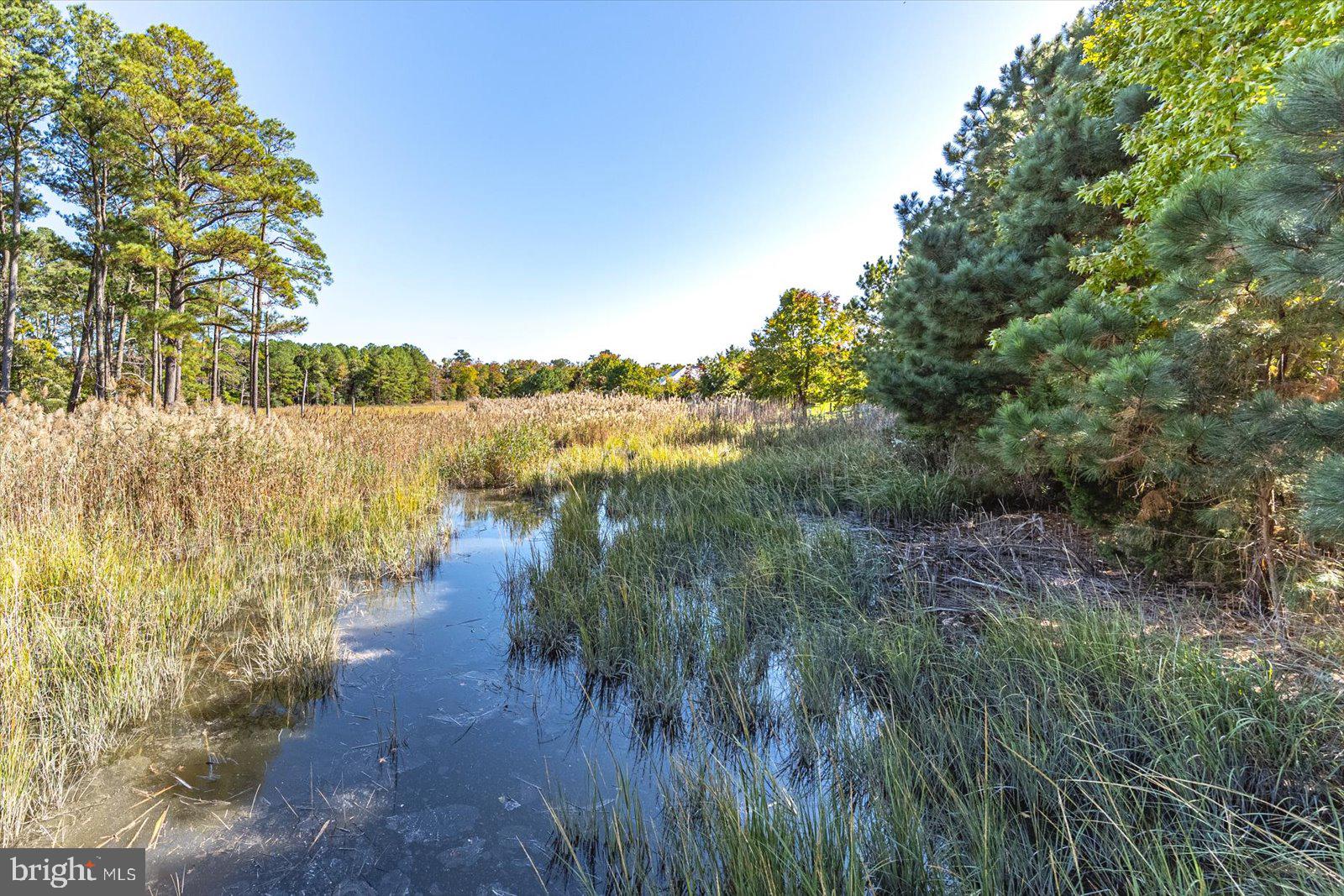 BAY FOREST CLUB - Residential