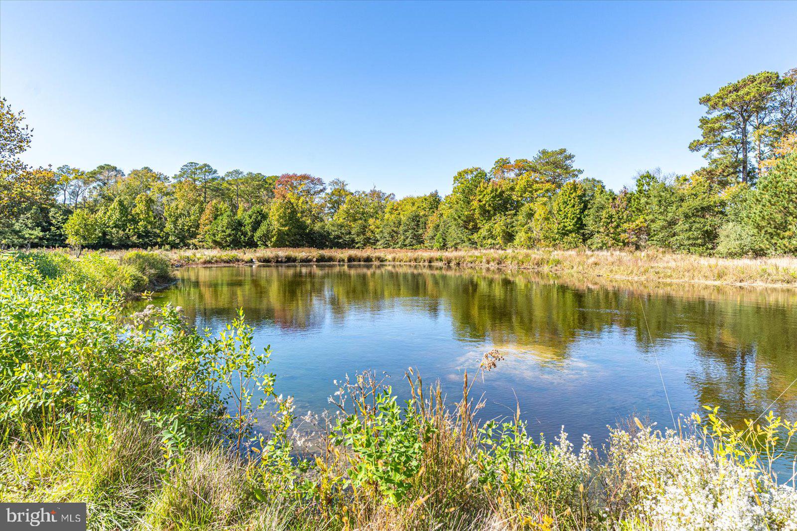 BAY FOREST CLUB - Residential