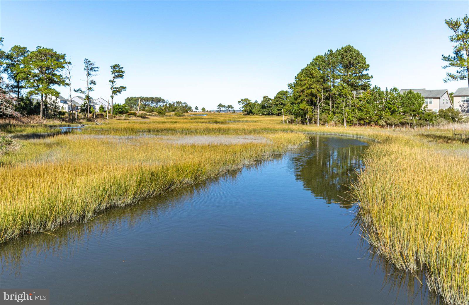 BAY FOREST CLUB - Residential