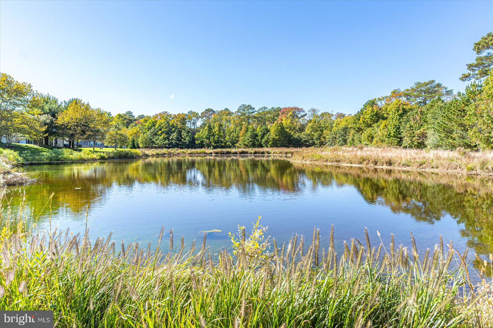 BAY FOREST CLUB - Residential