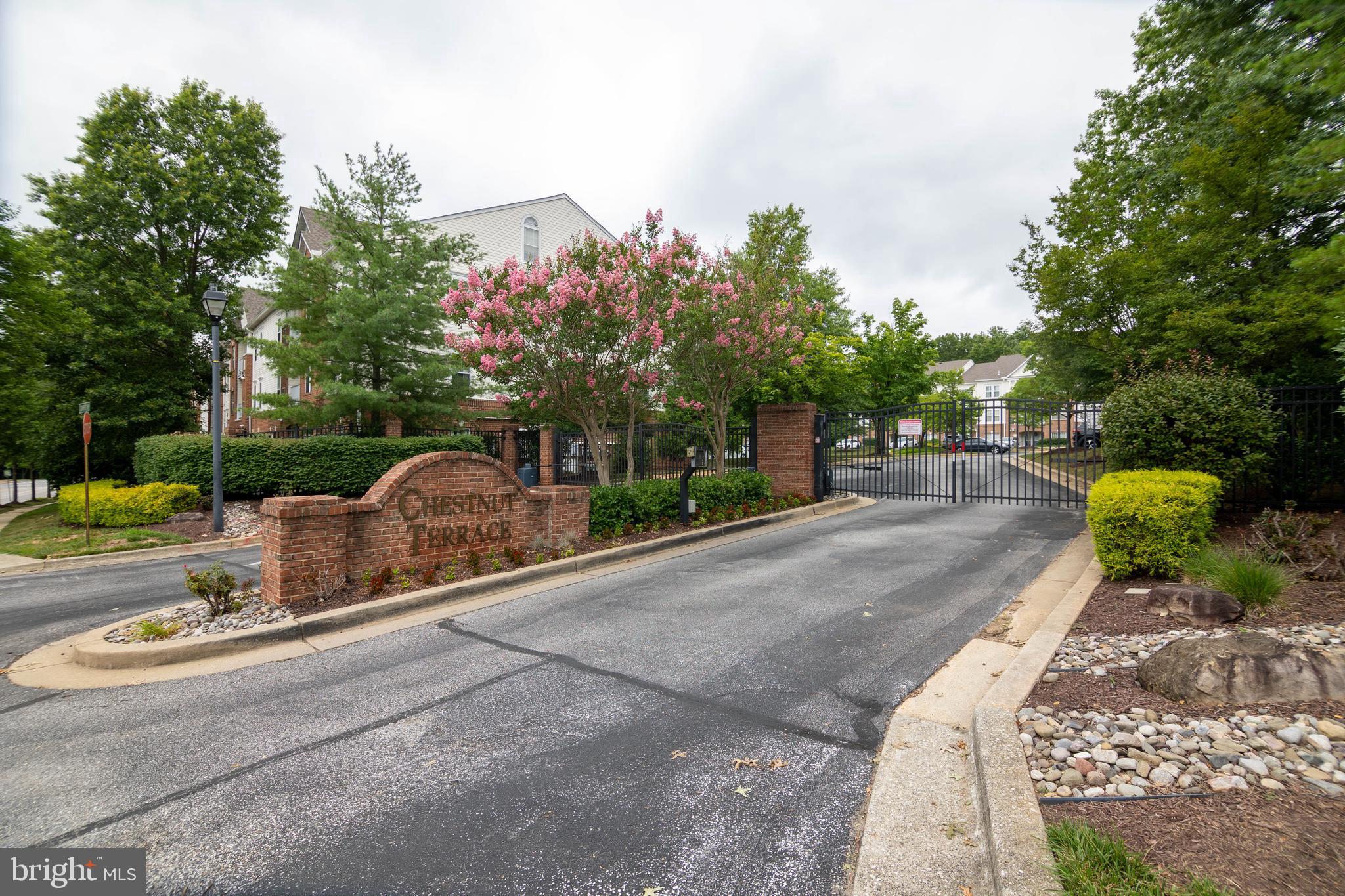 CHESTNUT TERRACE - Residential