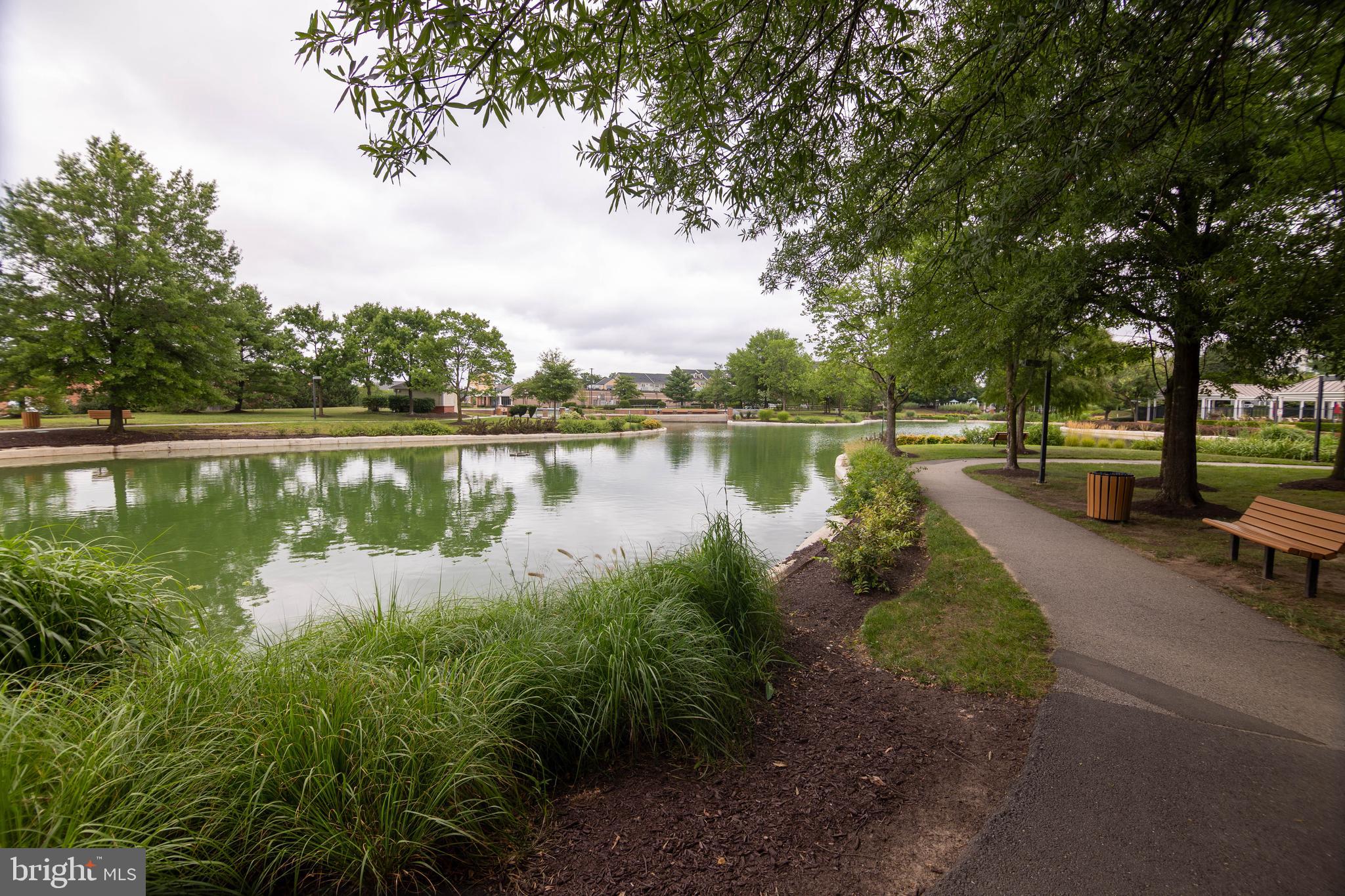 CHESTNUT TERRACE - Residential