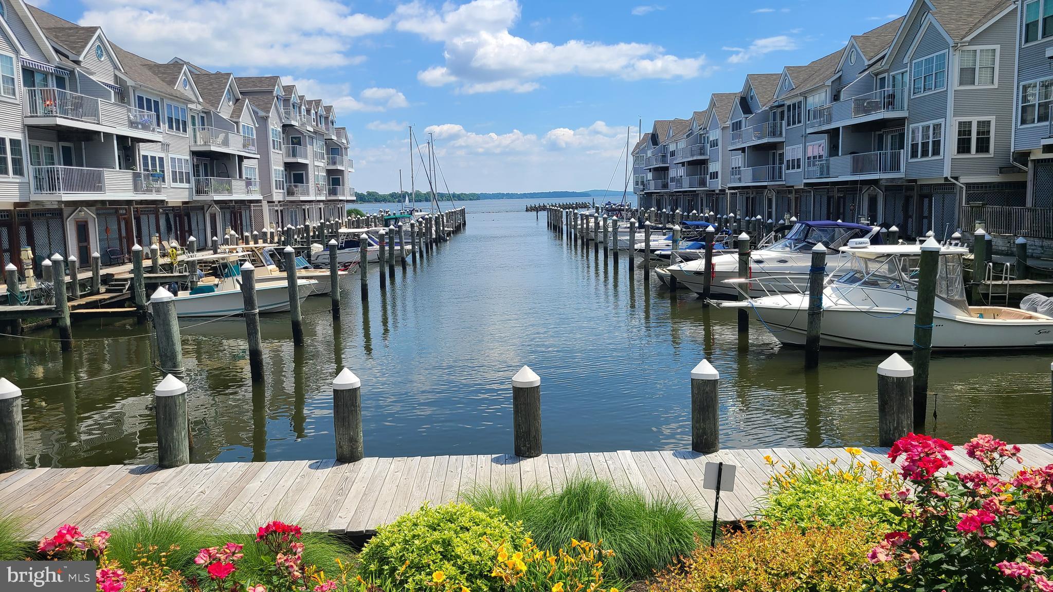 CANVASBACK COVE - Residential