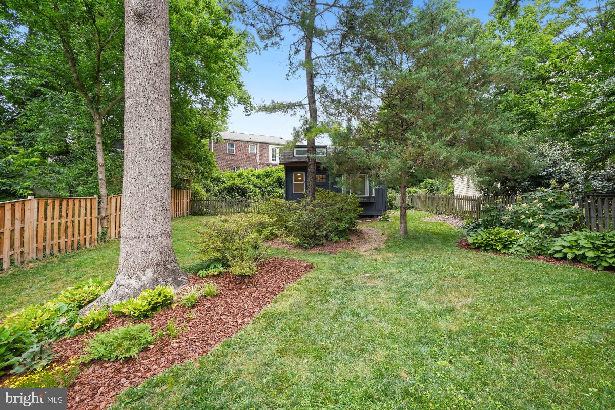 TAKOMA PARK - Residential