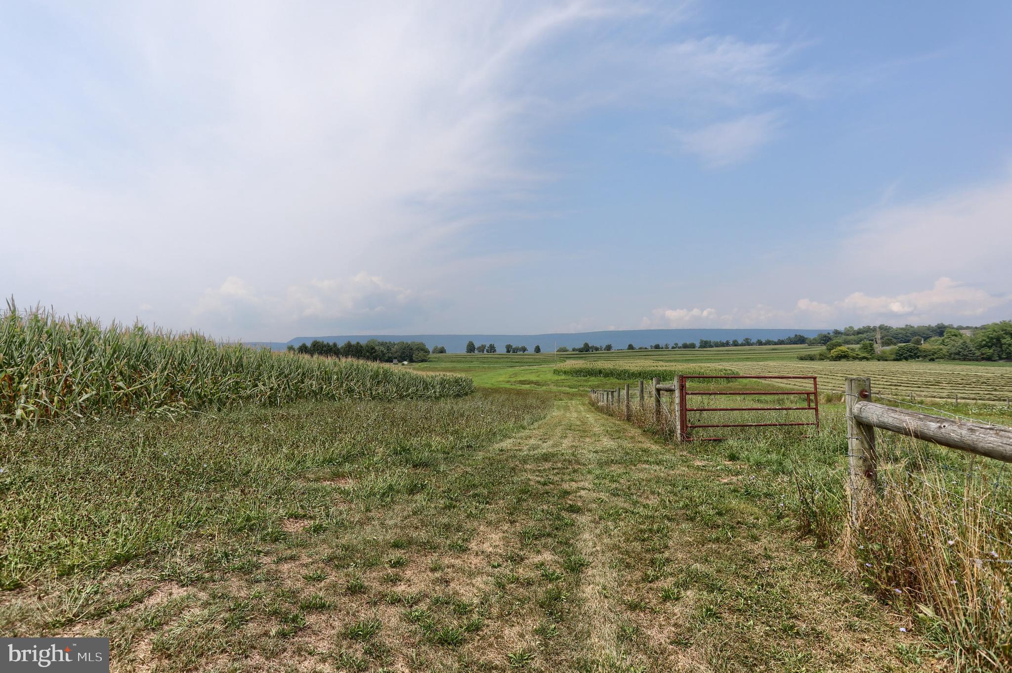 NONE AVAILABLE - Farm