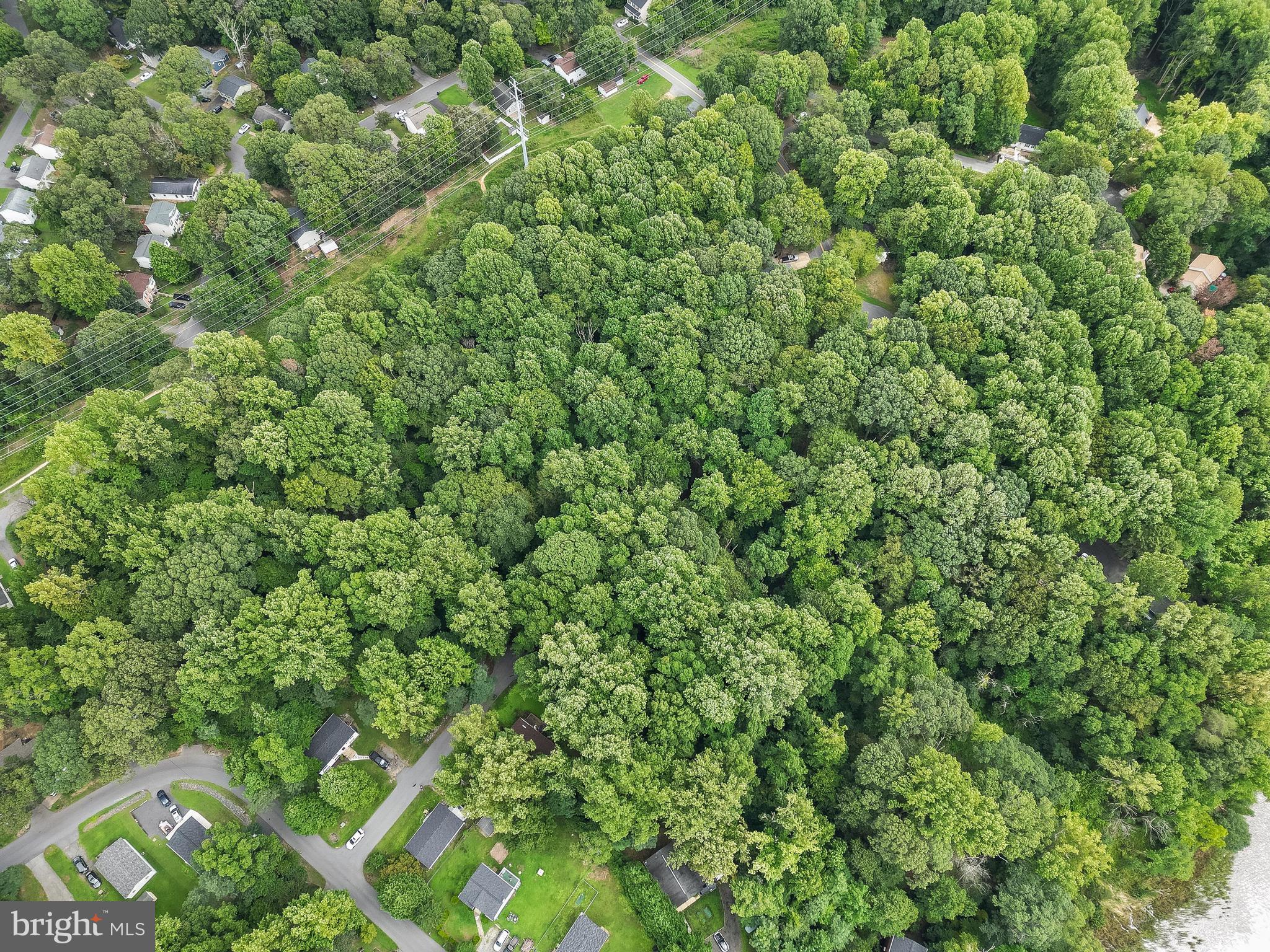 Unimproved land Property ID: 054422 Lot 39 Block 25 Plat Ref: 7

A multitude of opportunities to develop this land based on your desired use. Priced to sell well below average price per acre.