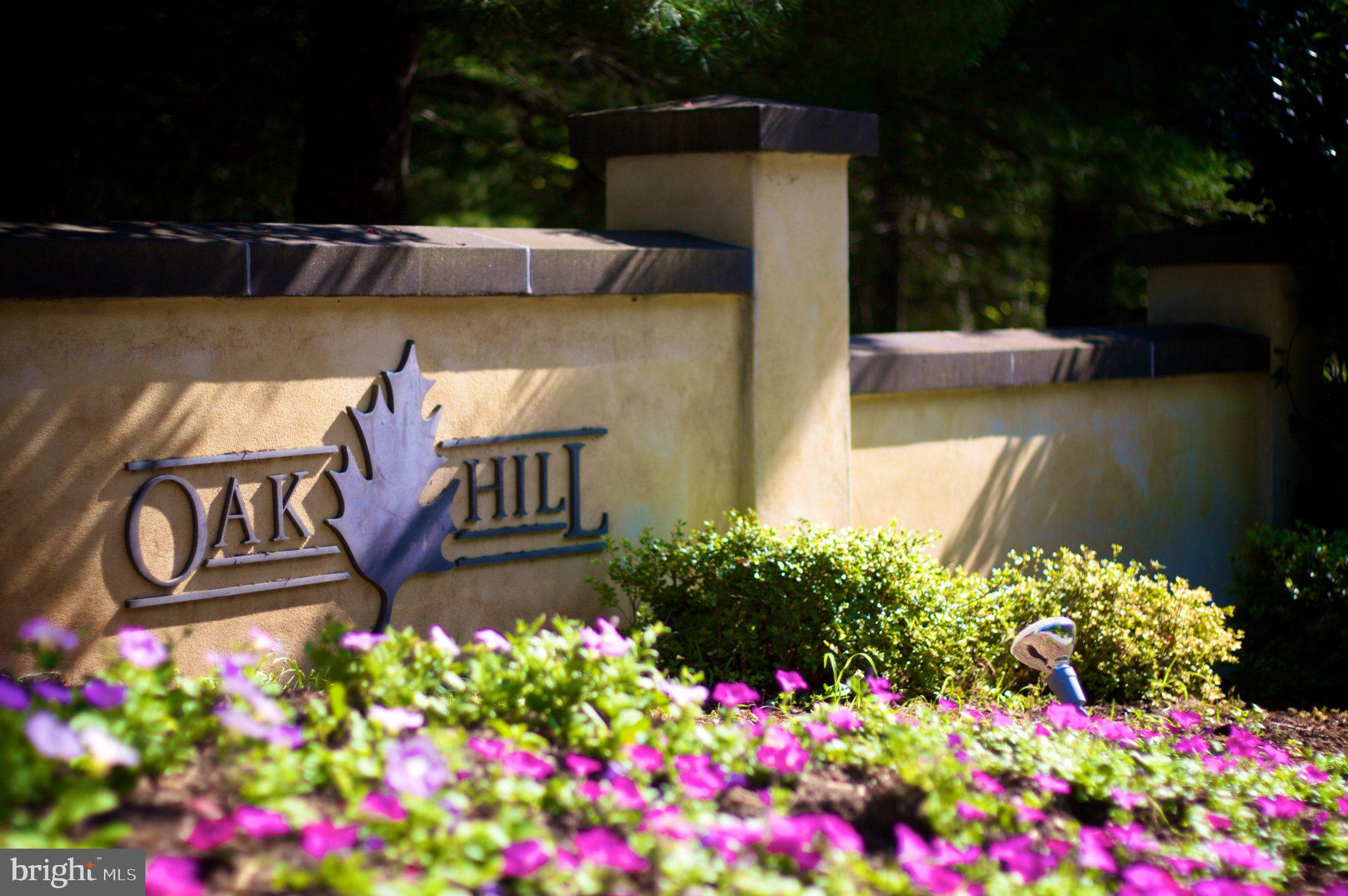 OAK HILL - Residential