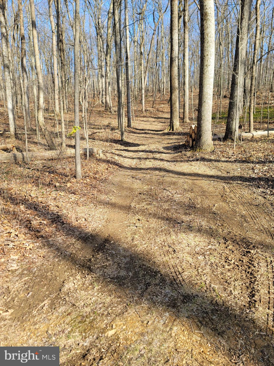 Secure this amazing Carroll County wooded lot for your future dreams! This expansive property can be purchased and held, or we can assist with your future new build. Discover this perfect blend of peace and possibility with this beautiful 15.088-acre wooded lot. Situated and perfectly tucked away in a serene natural setting, this property offers endless potential for your dream home. The parcel has approved perc test results (see disclosures) and is currently enrolled in Forest Conservation- with an allotted area available for construction—giving you the best of both worlds: preserved surroundings and space to build.

This property is also listed and a Co-Op with Caruso Homes for a New Construction opportunity, offering 31 customizable models that can be built to your needs on this very lot. Caruso homes carry a reputation for amazing service in the new build industry. Whether you envision a private retreat, family estate, or your forever home amid nature, this scenic property will deliver the ideal foundation for you!