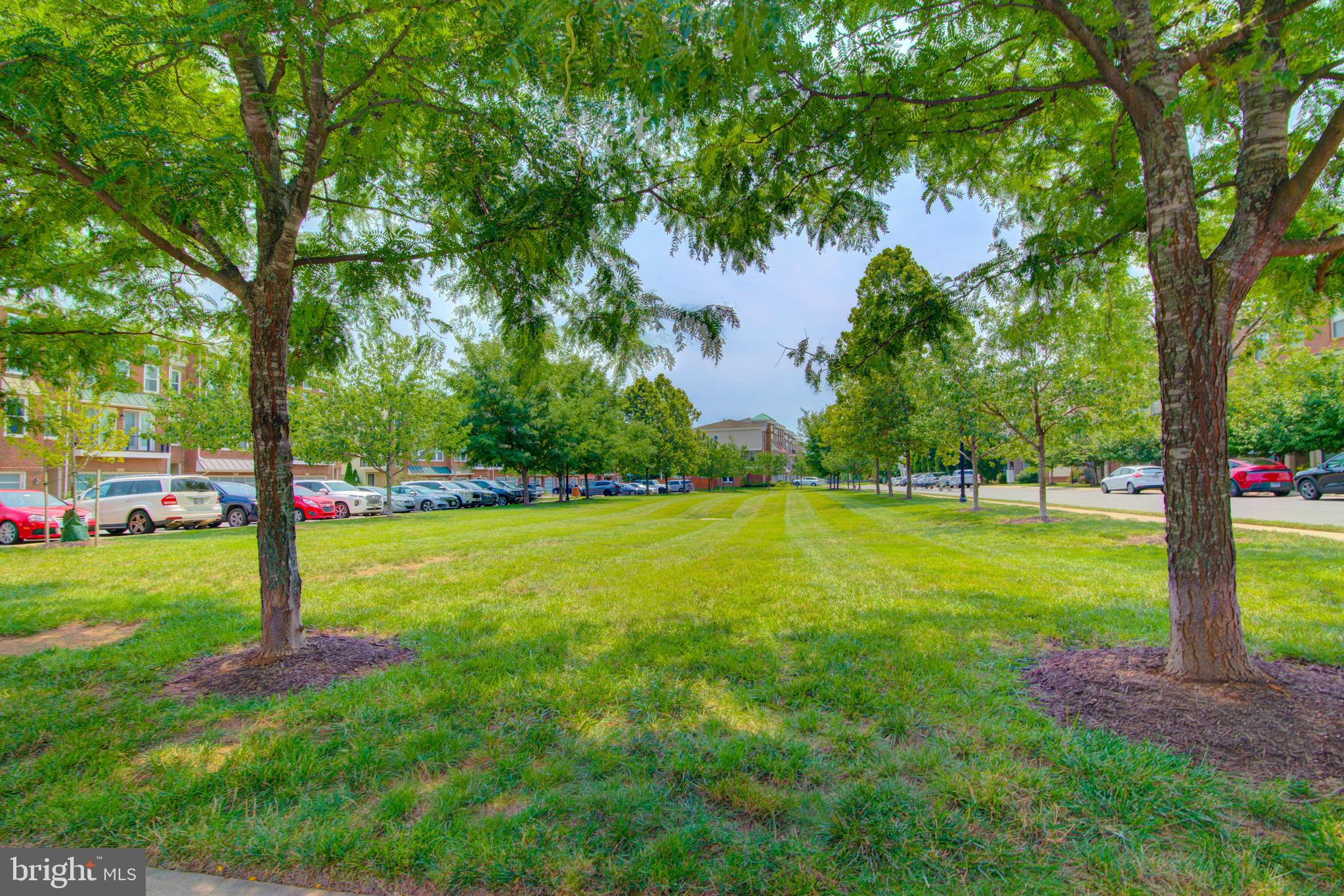 BRAMBLETON - Residential