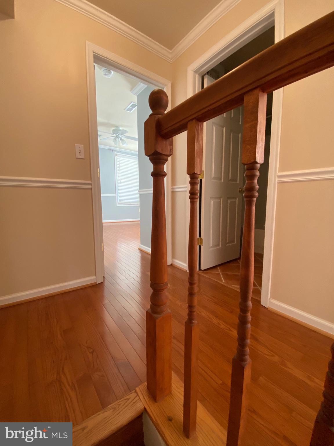 OLD TOWN ALEXANDRIA - Residential Lease