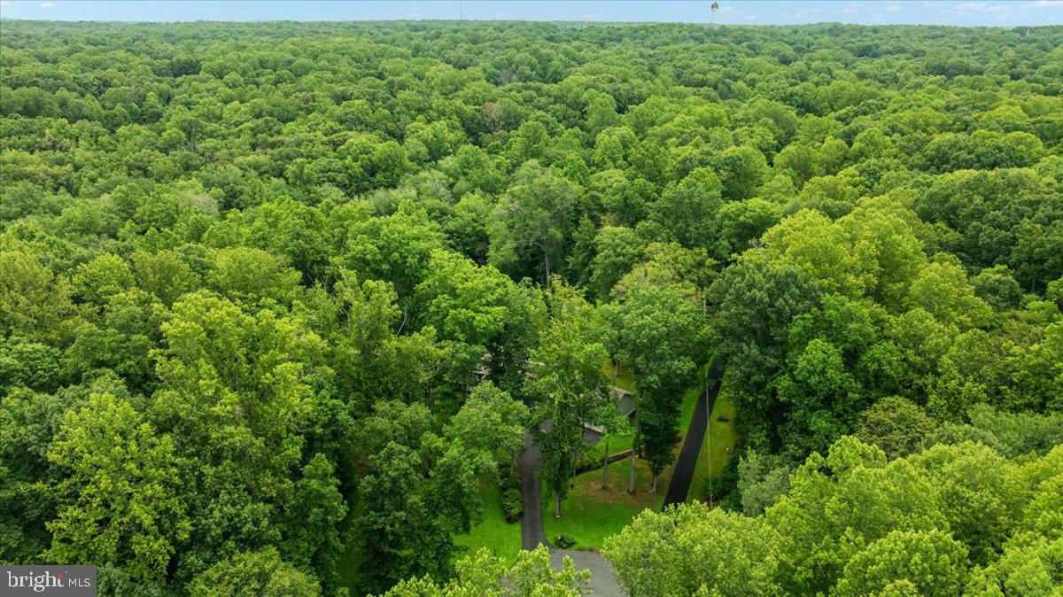 WOODBINE FOREST - Residential