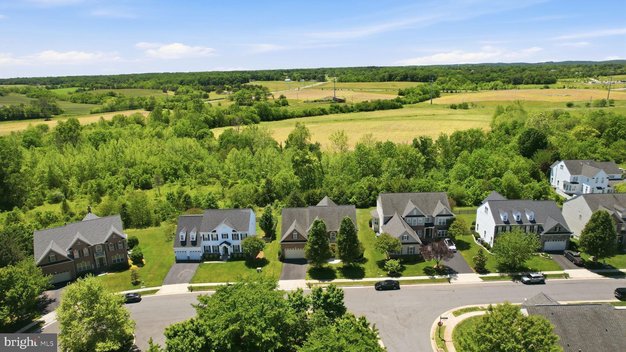 MEADOWS AT MORRIS FARM - Residential