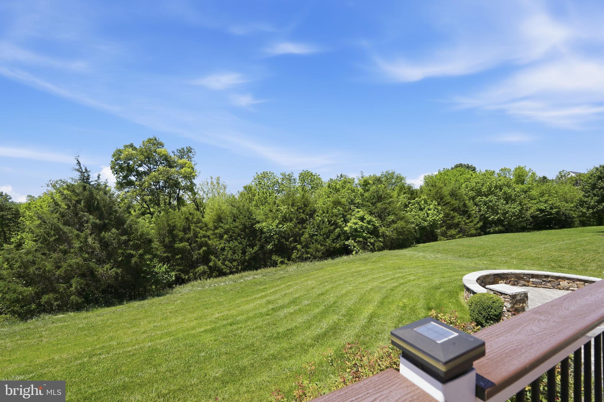 MEADOWS AT MORRIS FARM - Residential