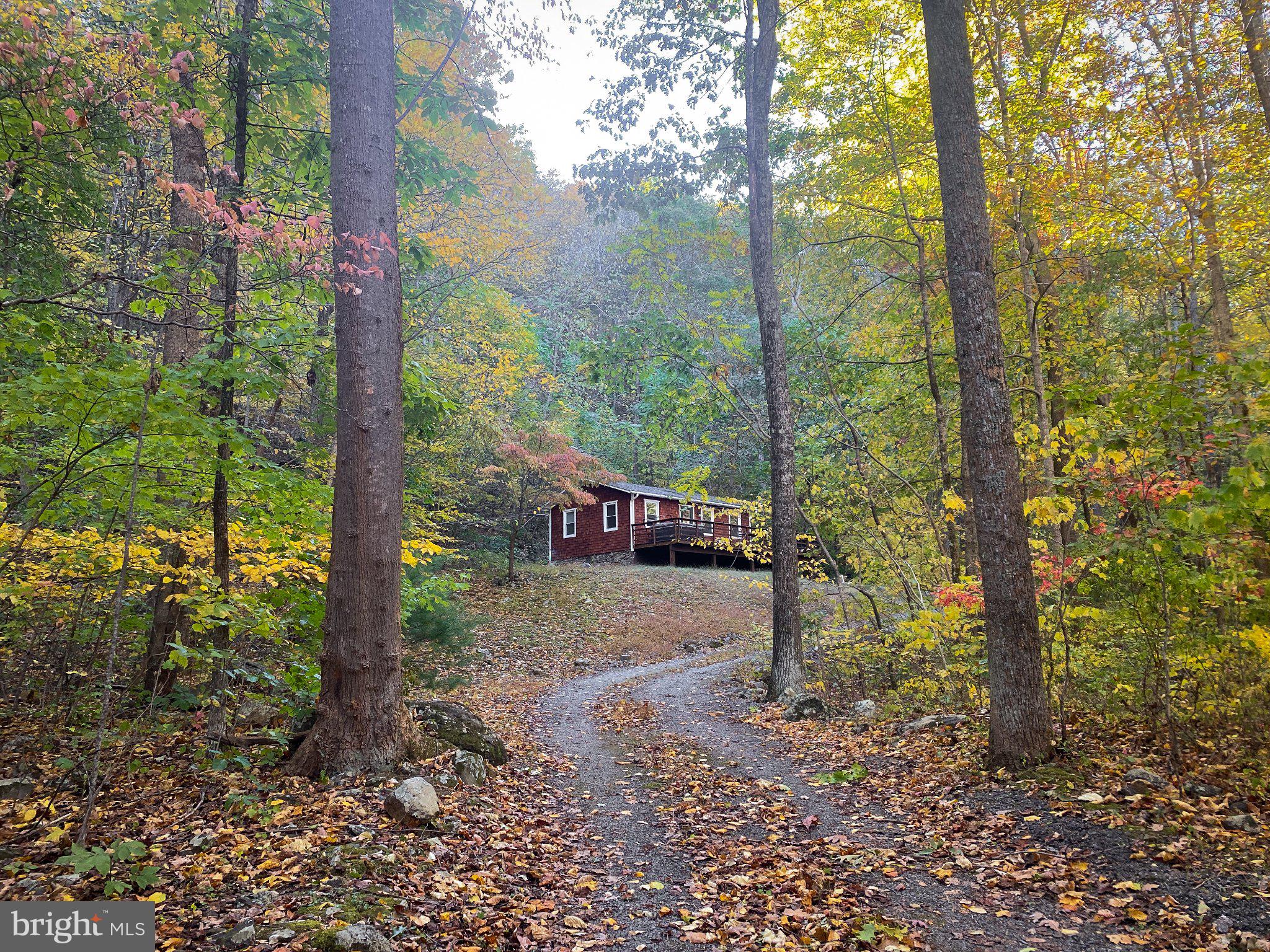 BULL YEARLING RUN - Residential