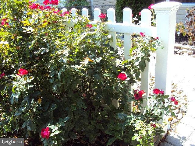 NORTH CHESAPEAKE BEACH - Residential