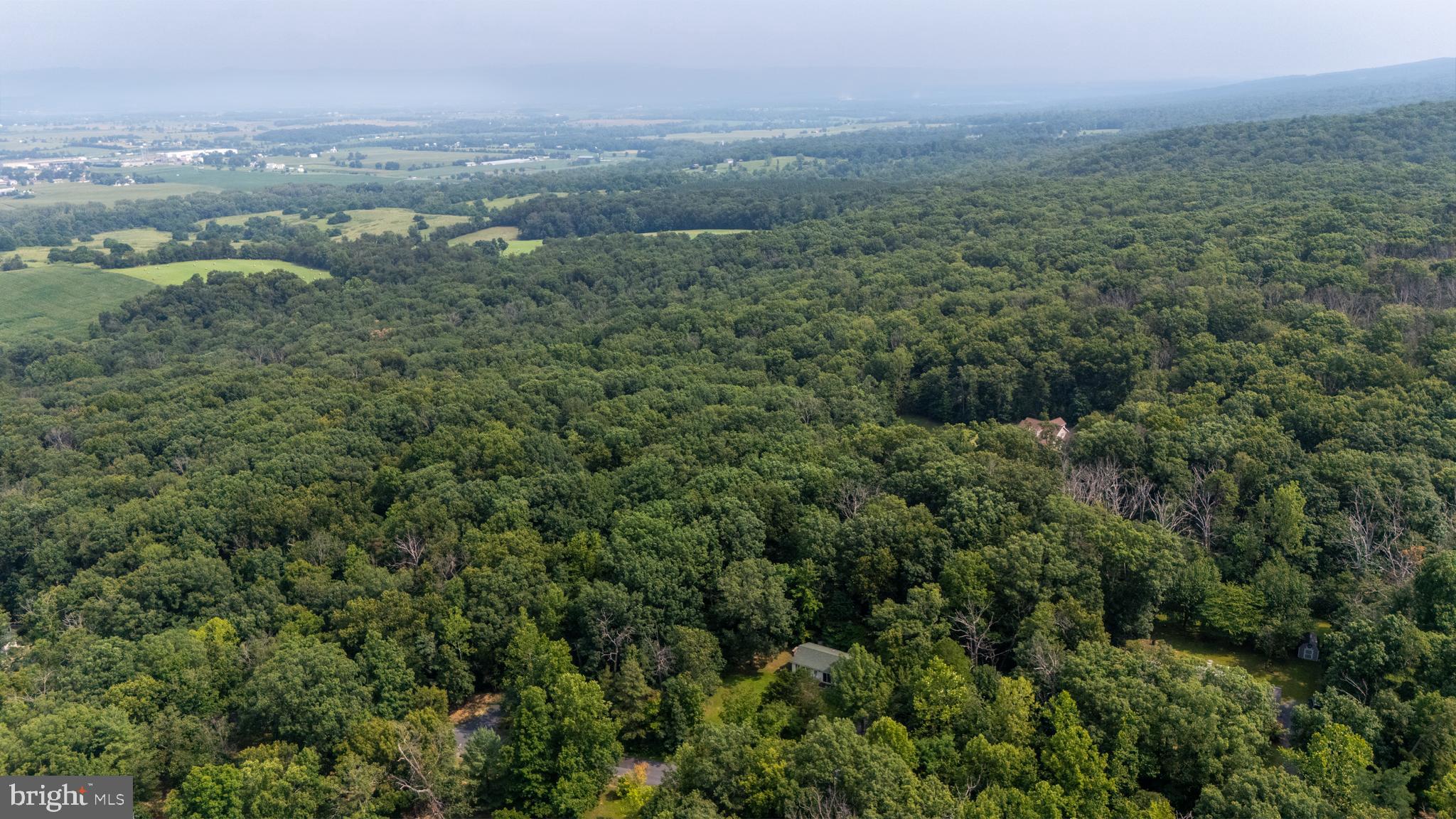 FLEMING PARK - Residential