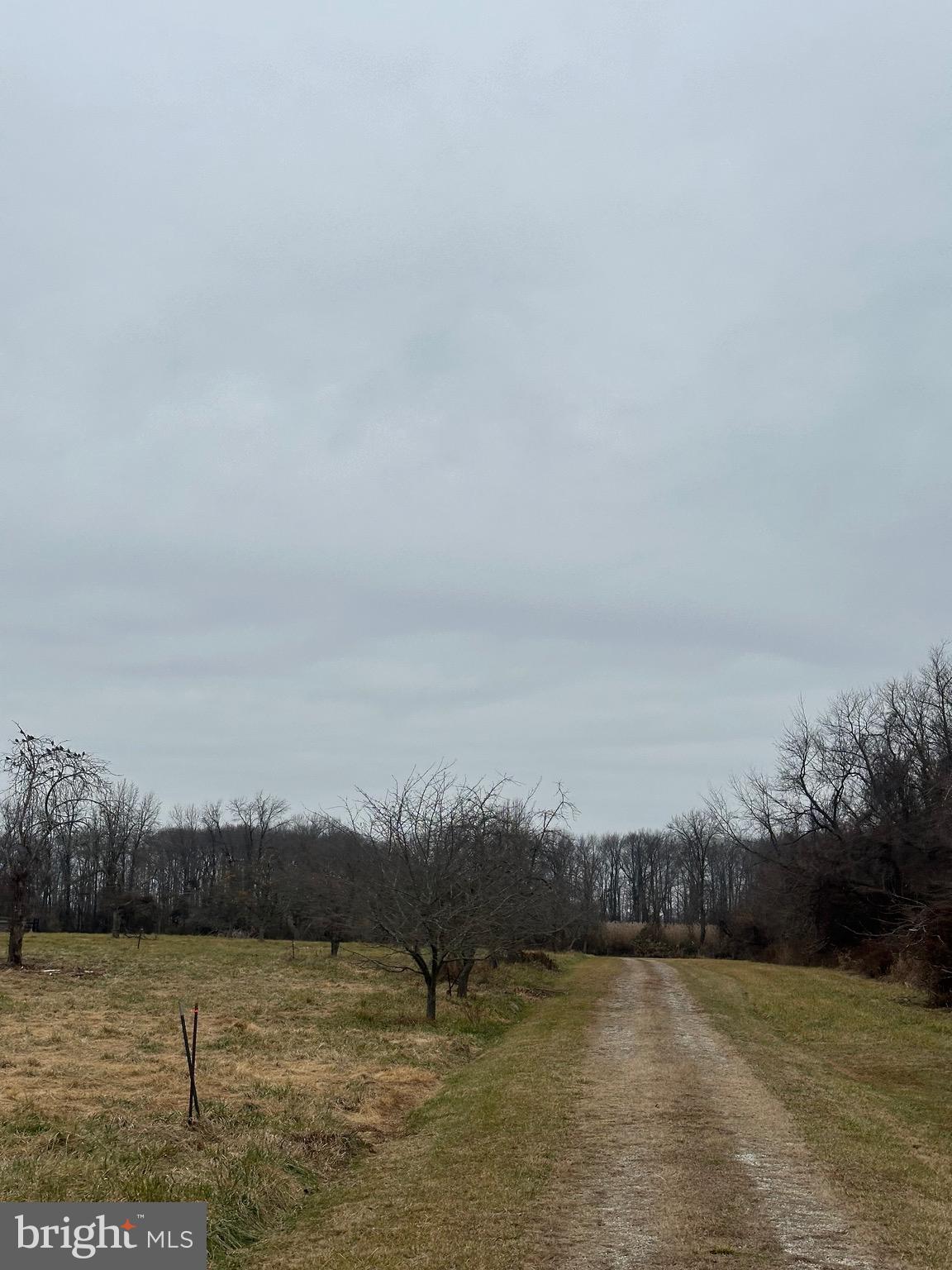 ROCK HALL - Farm