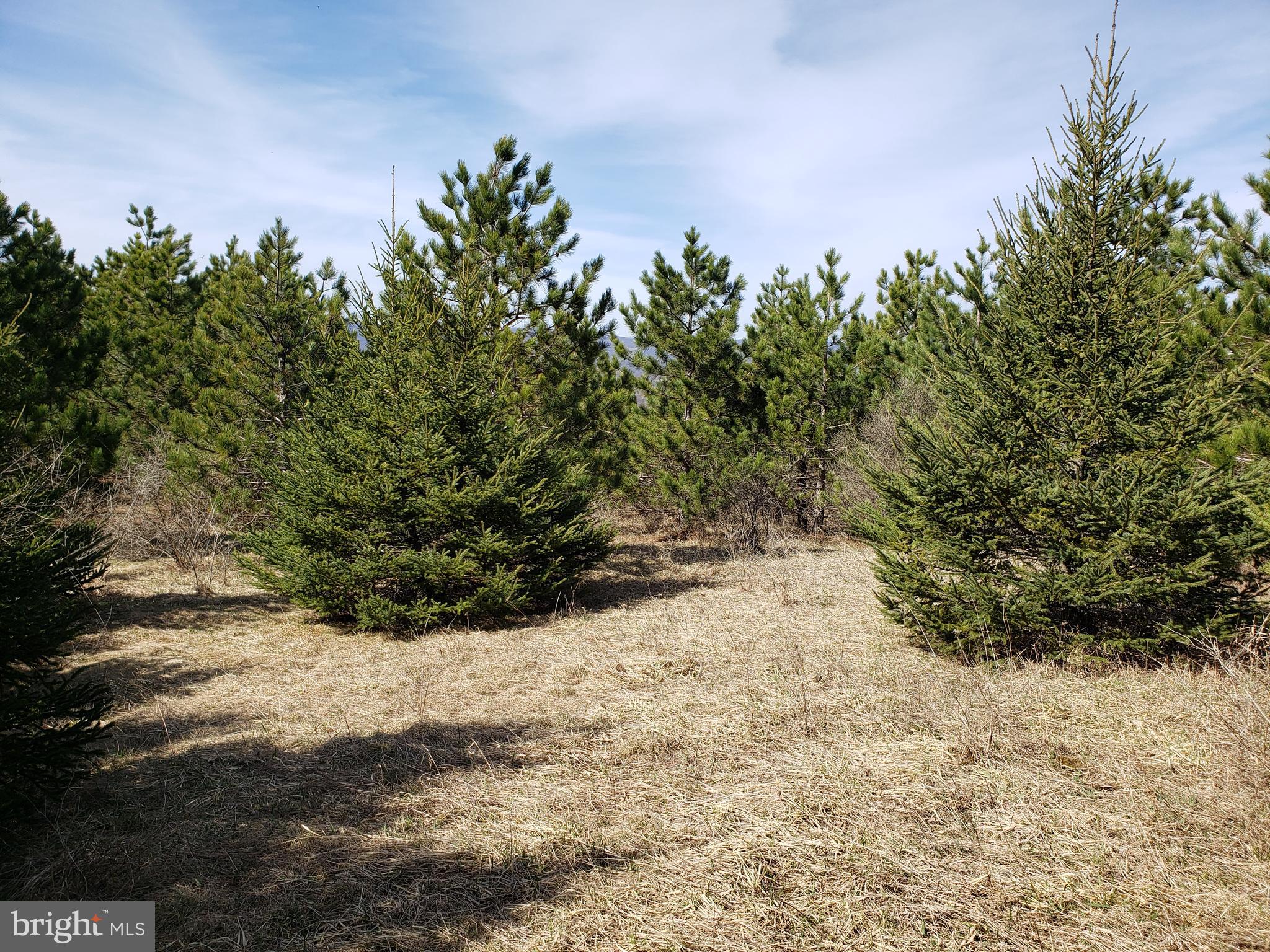 Build your dream home in the Summit of Harwood subdivision, surrounded by incredible views and abundant wildlife. Enjoy a quiet, private setting while only being minutes from Frostburg, LaVale, and Cumberland. Easy access to I-68 & Route 40. Property is Lot #17.