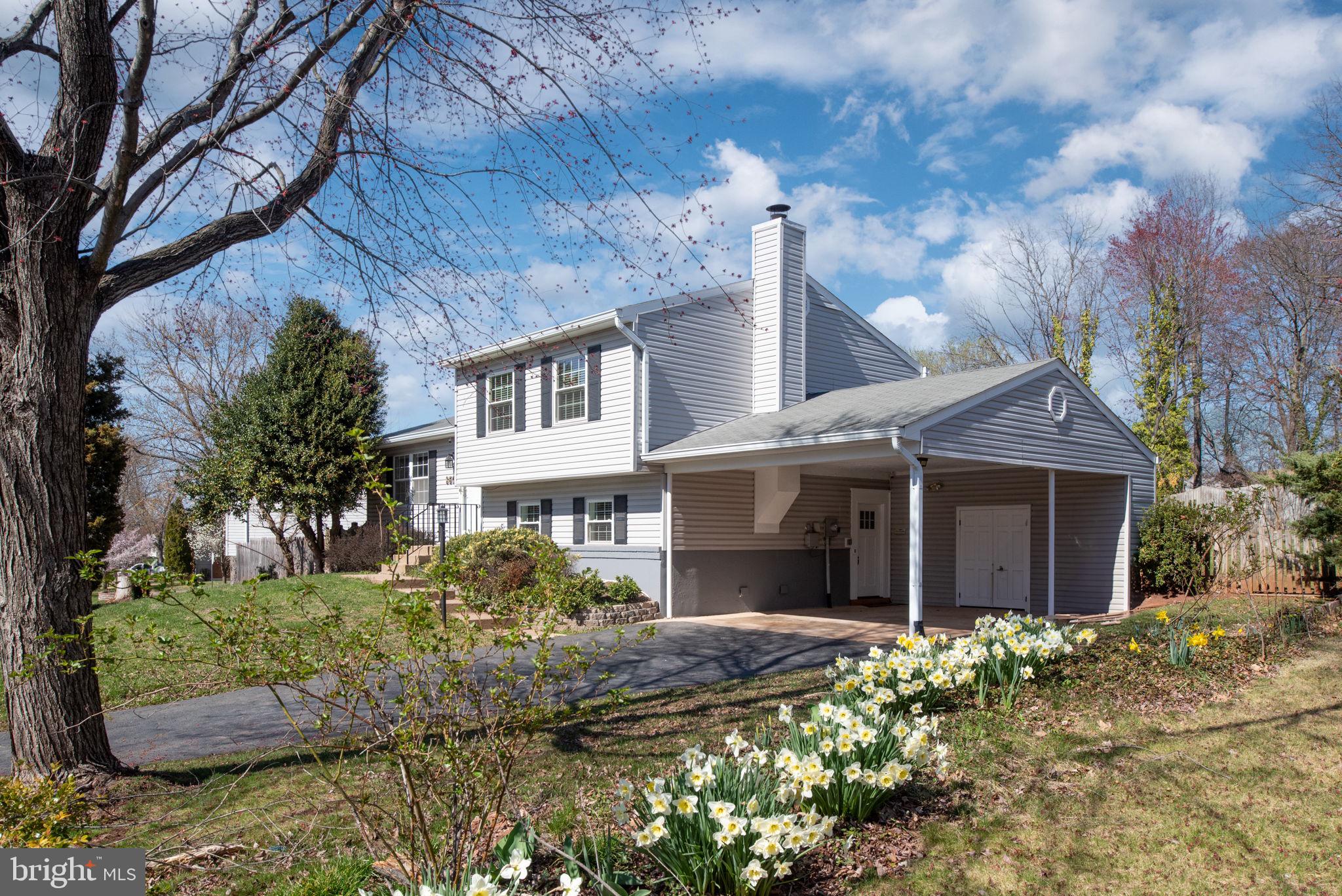 POINT OF WOODS - Residential