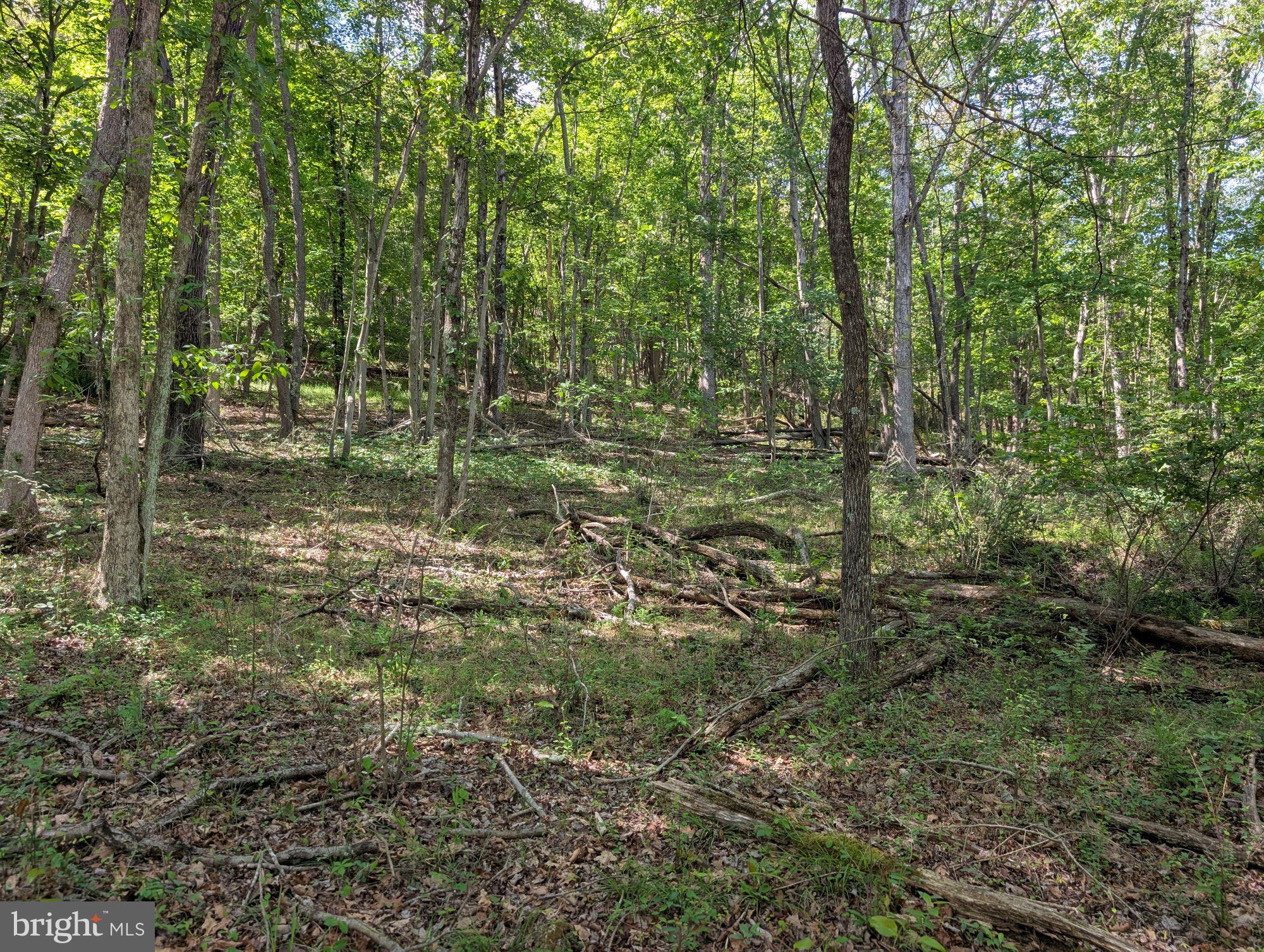 This 5.05-acre lot offers a peaceful retreat from the city. Come build your dream home or make a weekend getaway. The lot provides ample space for outdoor activities. A peaceful setting with views through the trees, where you can build what you want without an HOA telling you what you can do. Feel free to drive by and check it out!