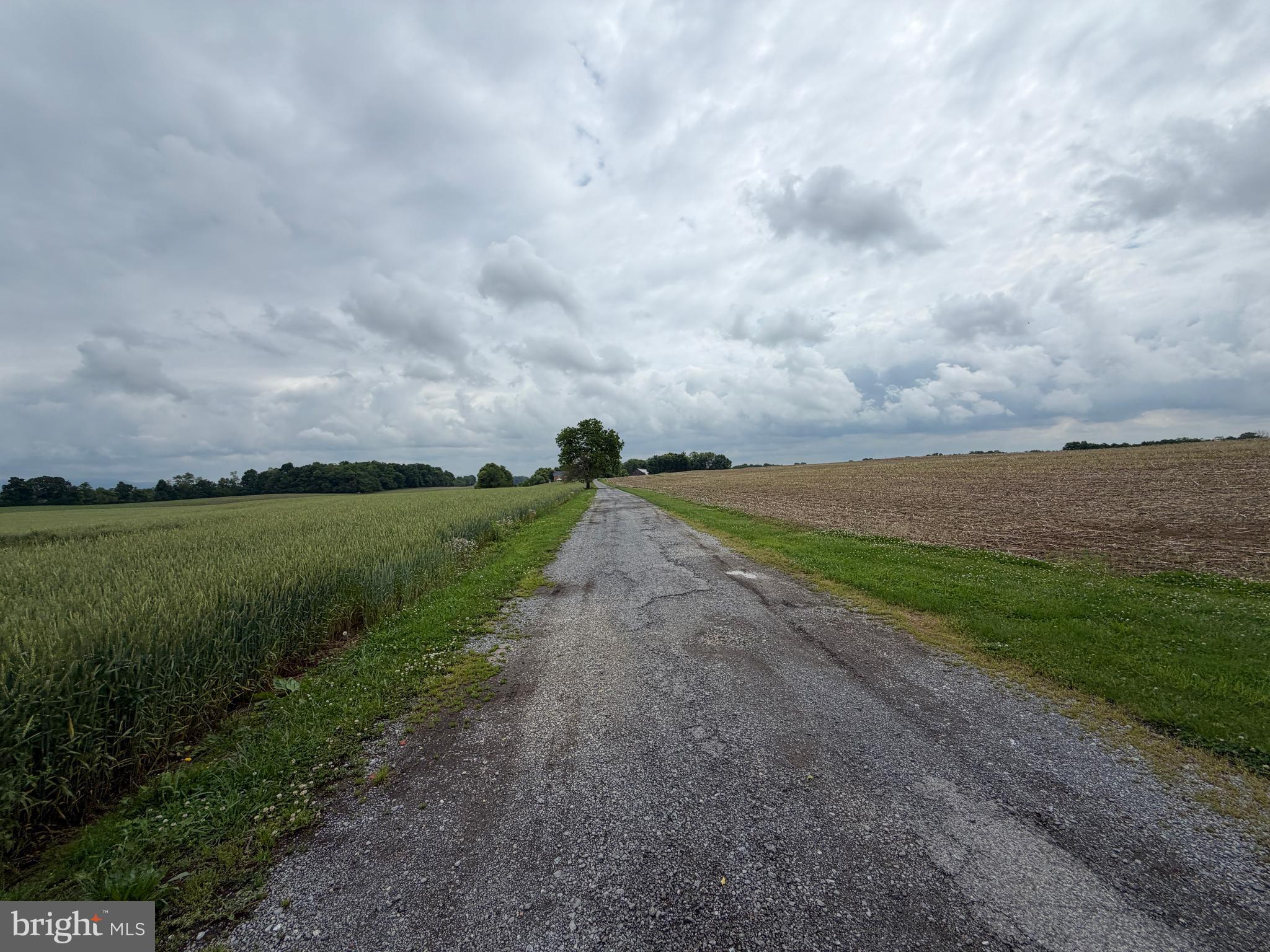 NONE AVAILABLE - Farm