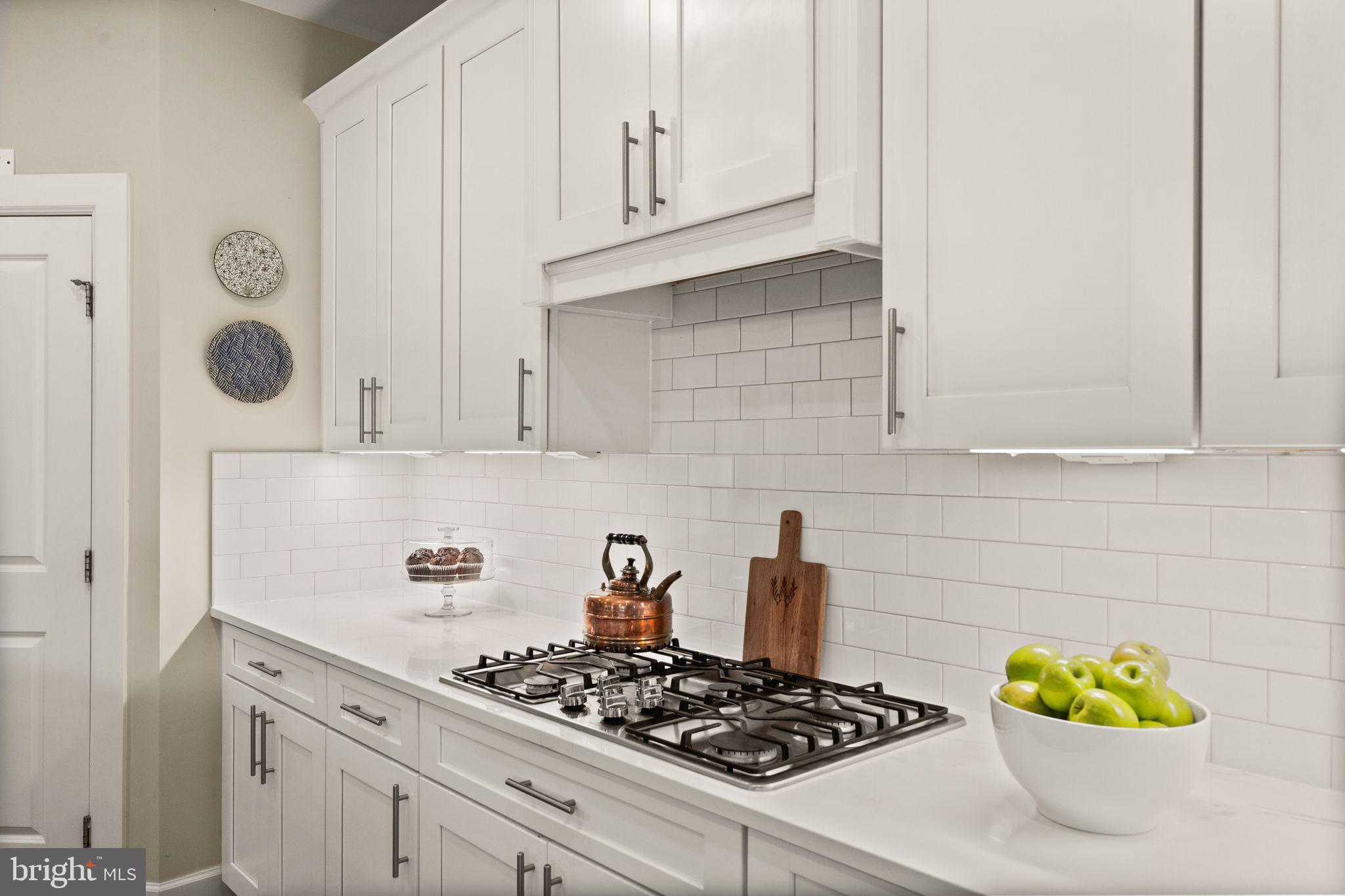 WILLOWSFORD - THE GREENS - Residential