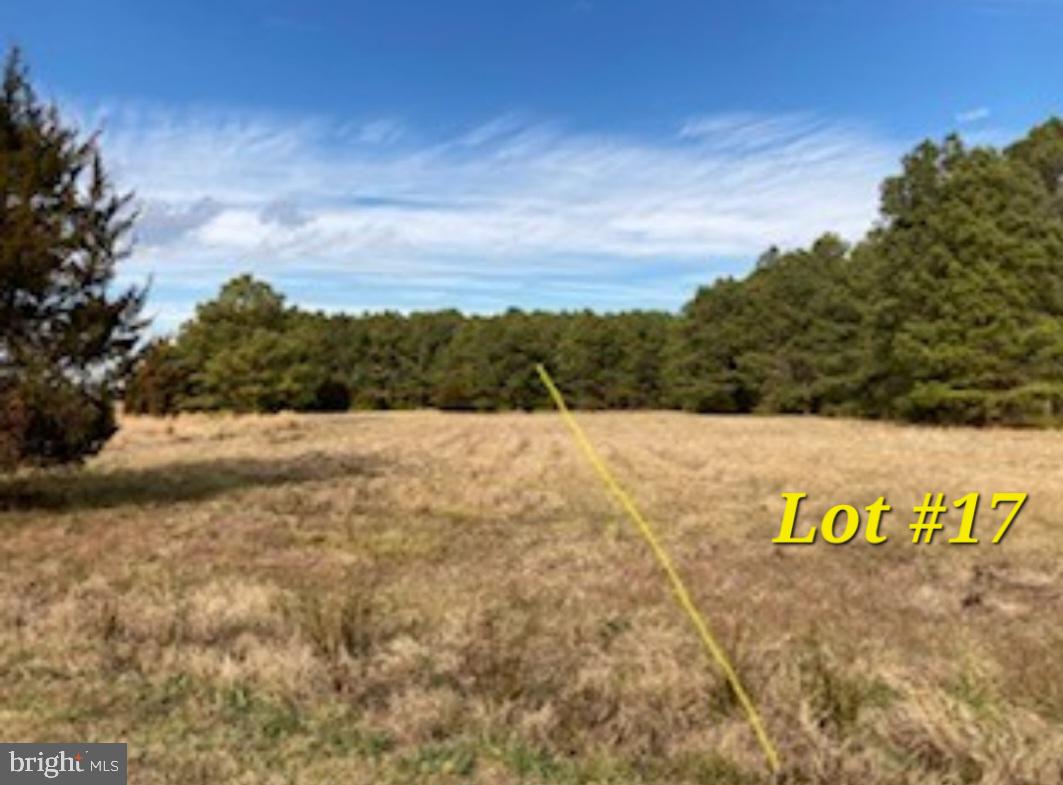FERRY FARMS ESTATES - Land