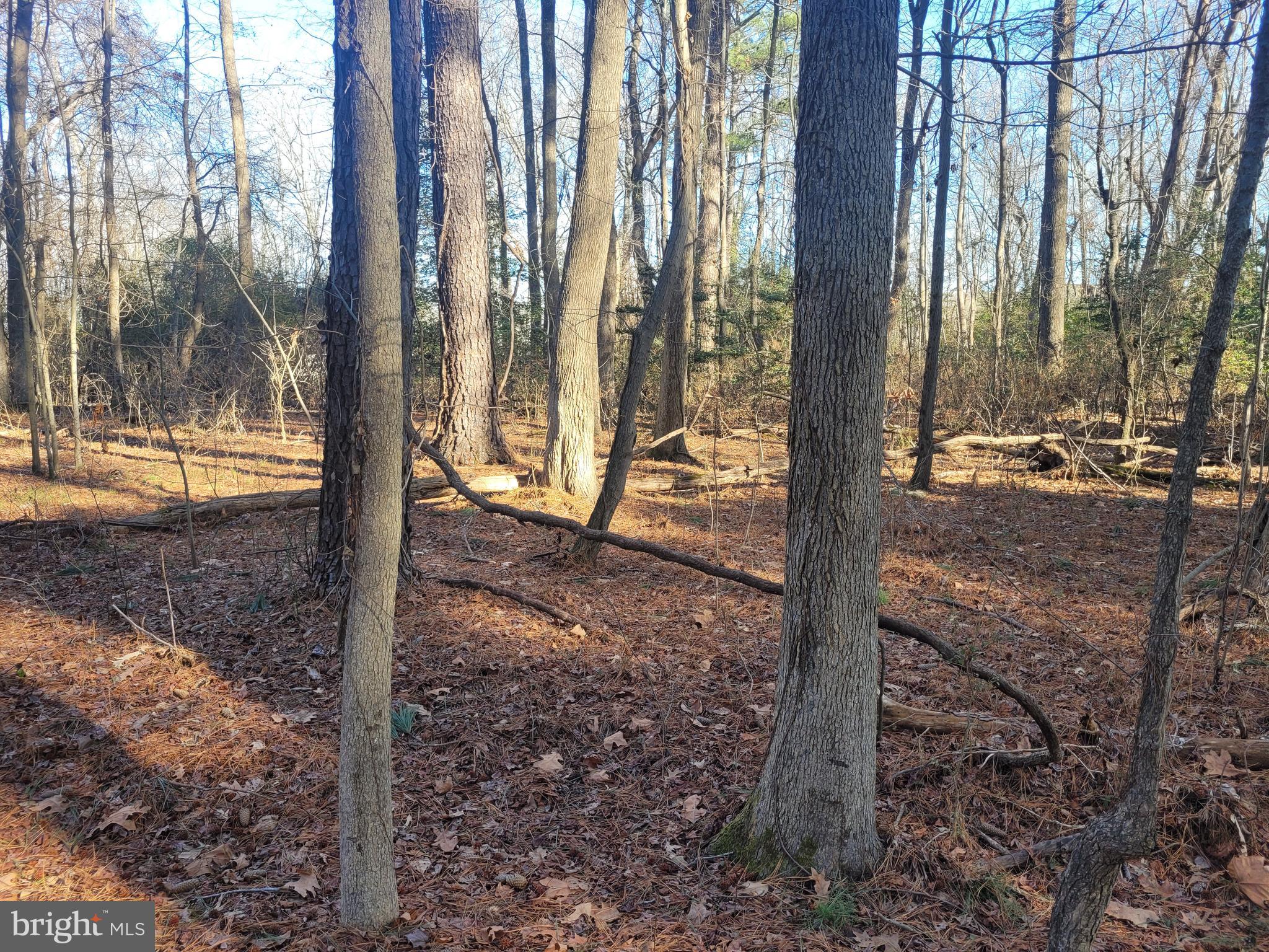 This 0.10+/- acre wooded lot is located in the peaceful Calais Waterfront Community, offering a serene and private setting. A natural driveway provides easy access to the property, making it a perfect spot for your ideal home or retreat. Enjoy the tranquil, rural surroundings and the added benefit of boat ramp access for waterfront enjoyment. Whether you’re looking for privacy, scenic views, or access to the water, this lot offers it all.  Don’t miss the chance to own land in this desirable community.
