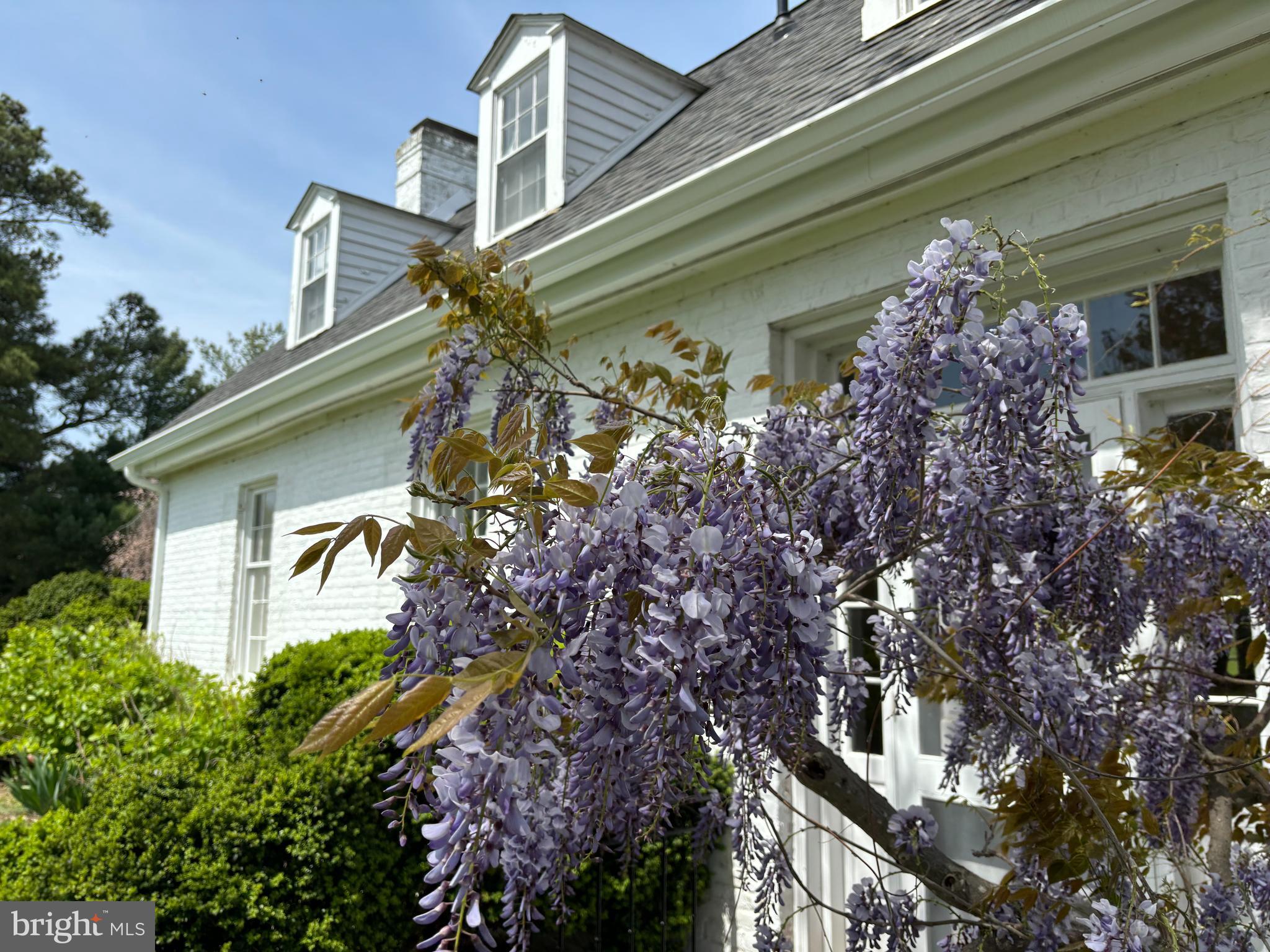 CLAIBORNE - Farm