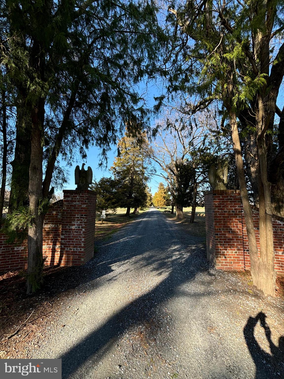 CLAIBORNE - Farm