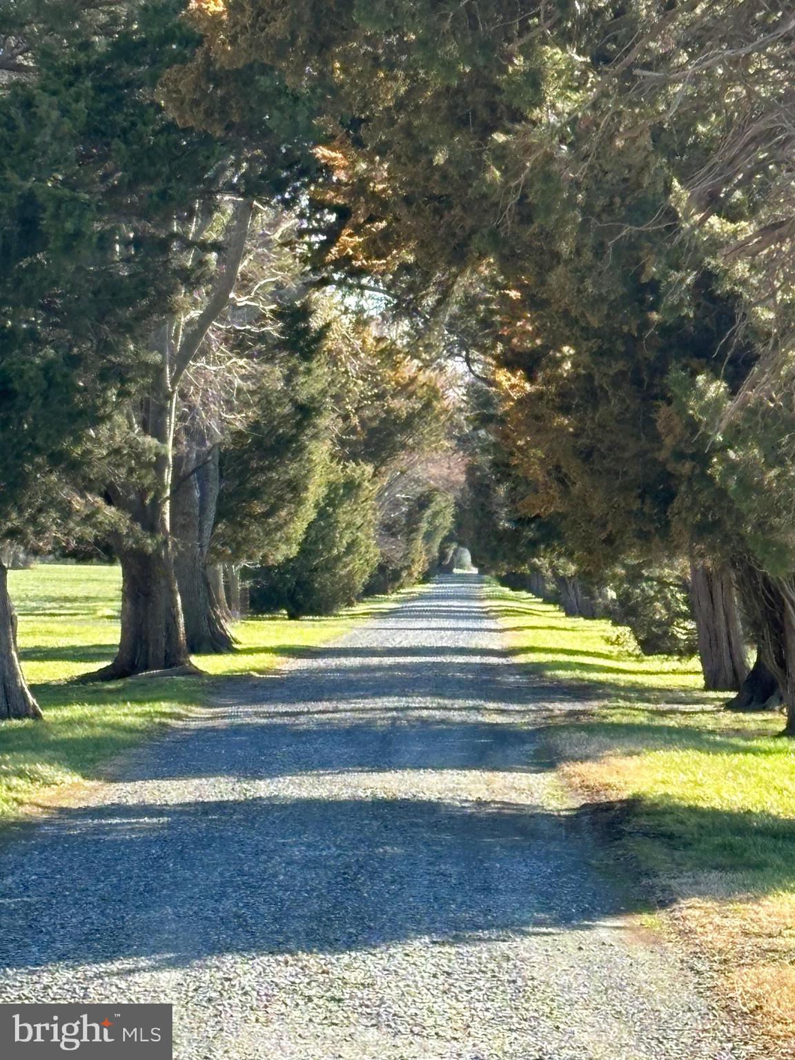 CLAIBORNE - Farm