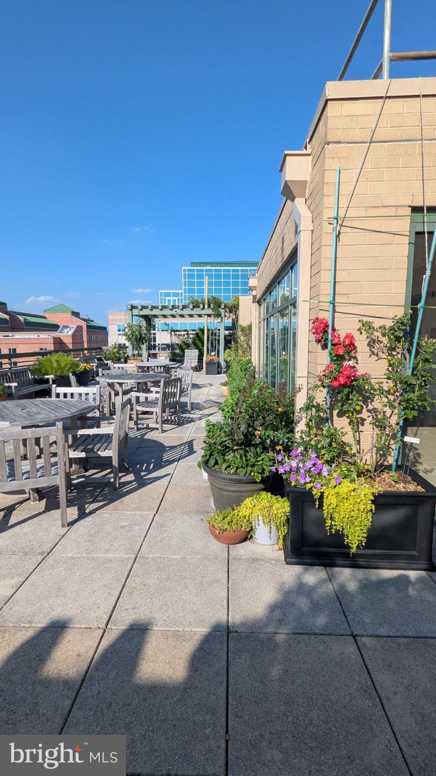 MONROE AT VIRGINIA SQUARE - Residential