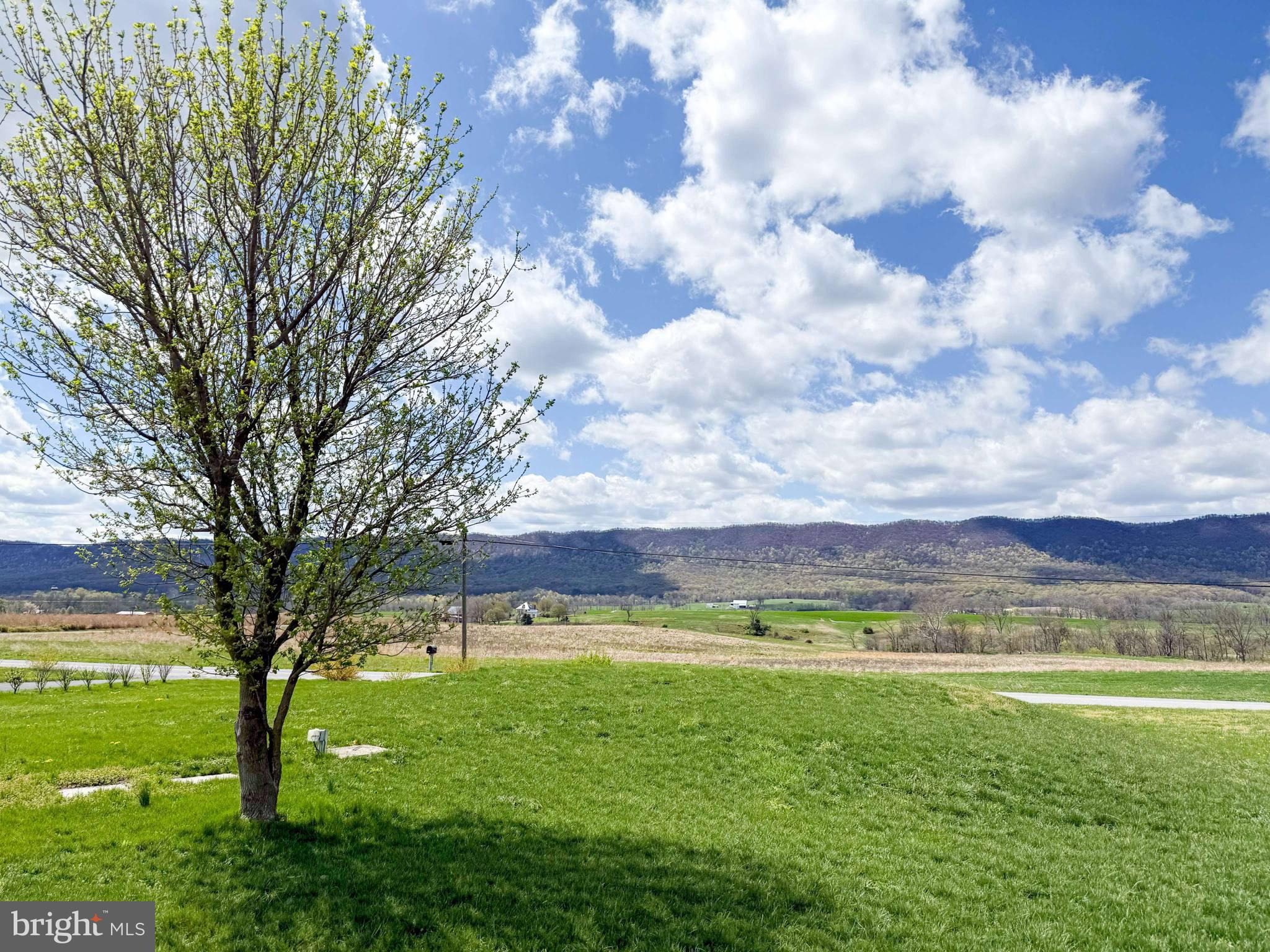 BLUE SPRING - Residential