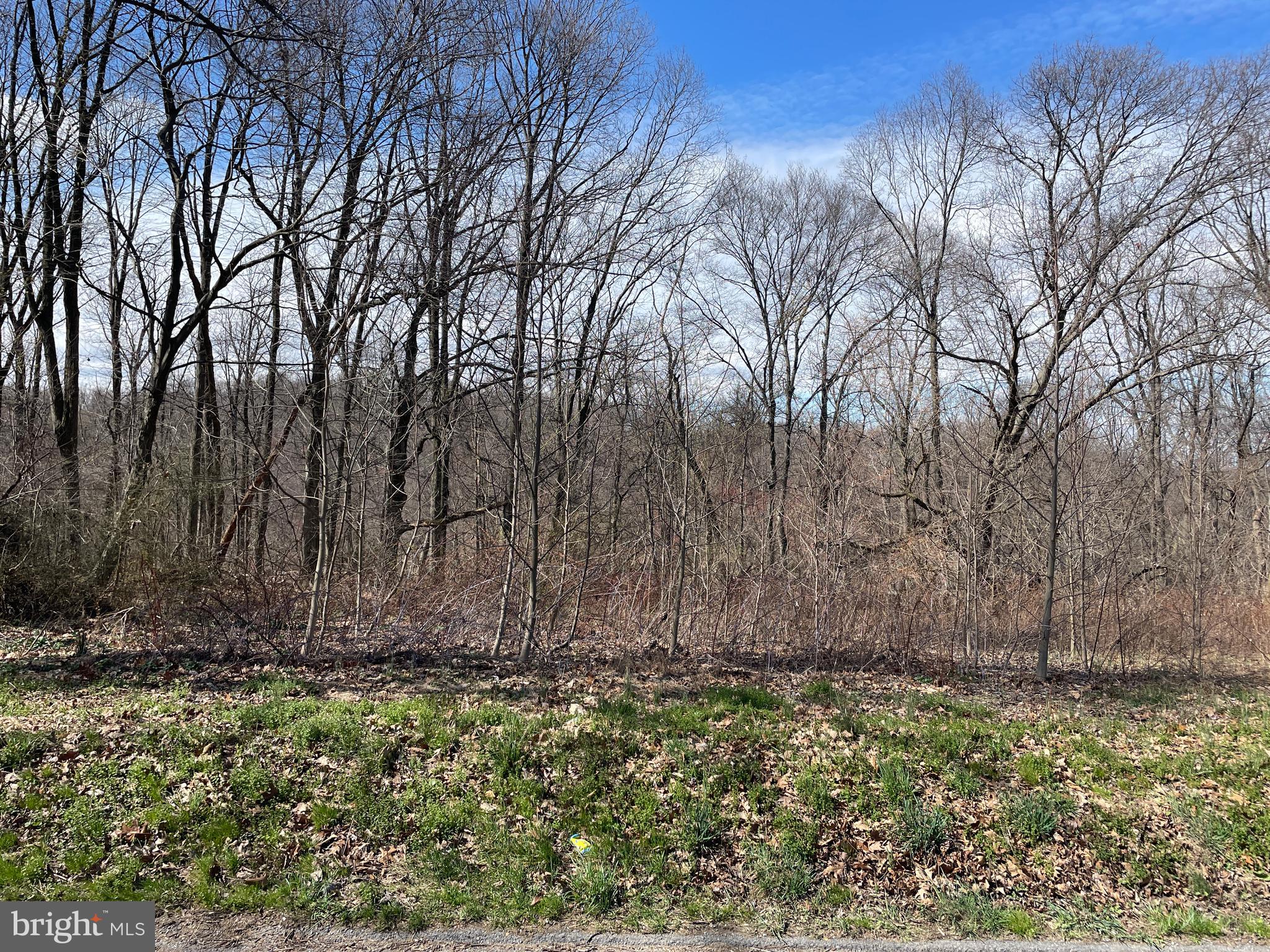 This property will be offered at Public Auction on Wednesday, May 8, 2024 @ 6pm or immediately following Parcel 1 (319 Hopkins Mill Road).  The listing price is the opening bid only and in no way reflects the final sale price.  10% down due at auction, 2% transfer tax to be paid by the purchaser, real estate taxes prorated. P2: This 0.61-acre lot sits adjacent to 519 Truce Rd, with easy access to Route 372 and 272. It is mostly wooded but offers the potential to build your dream home.