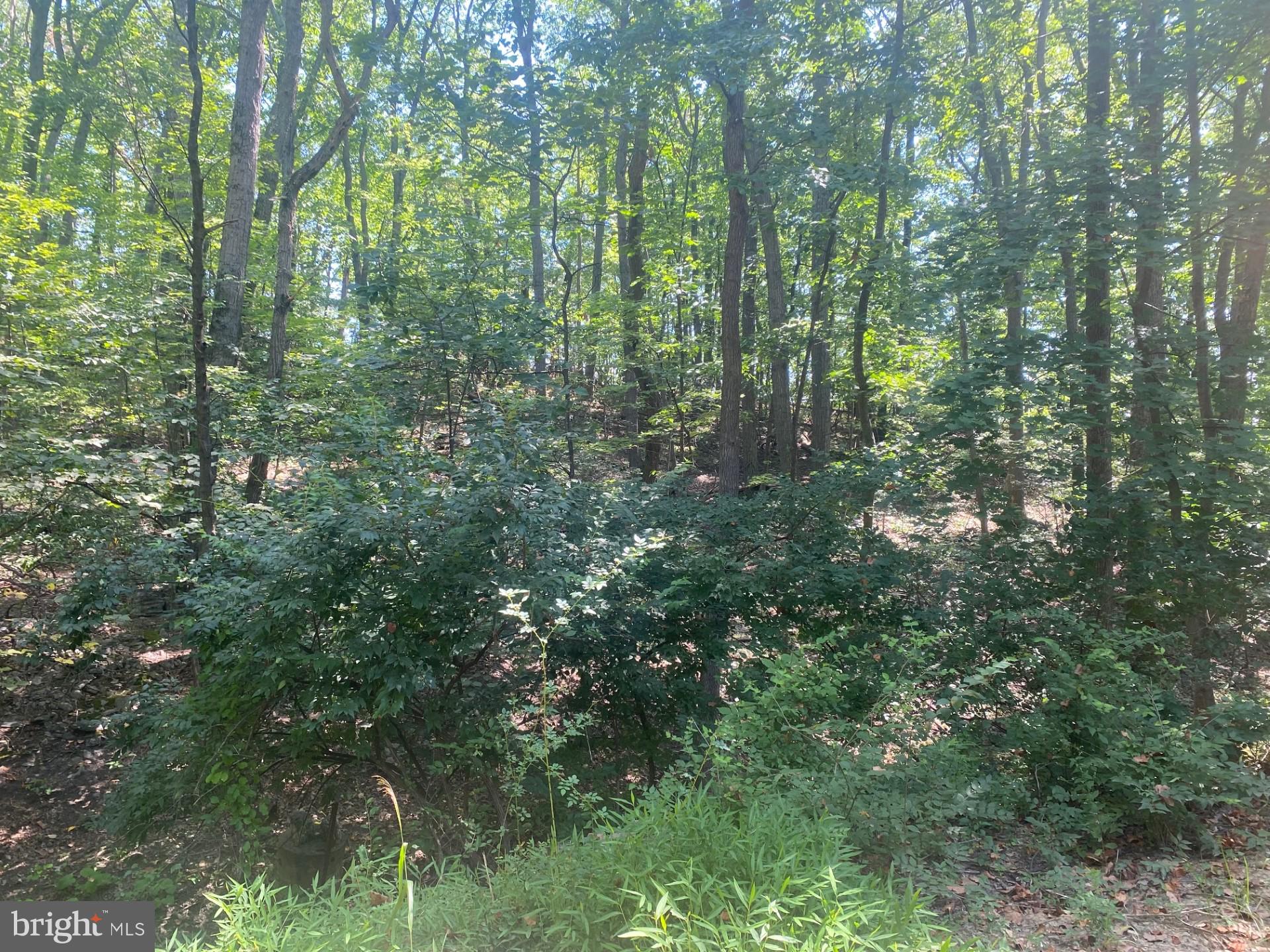 BRADDOCK HEIGHTS - Residential