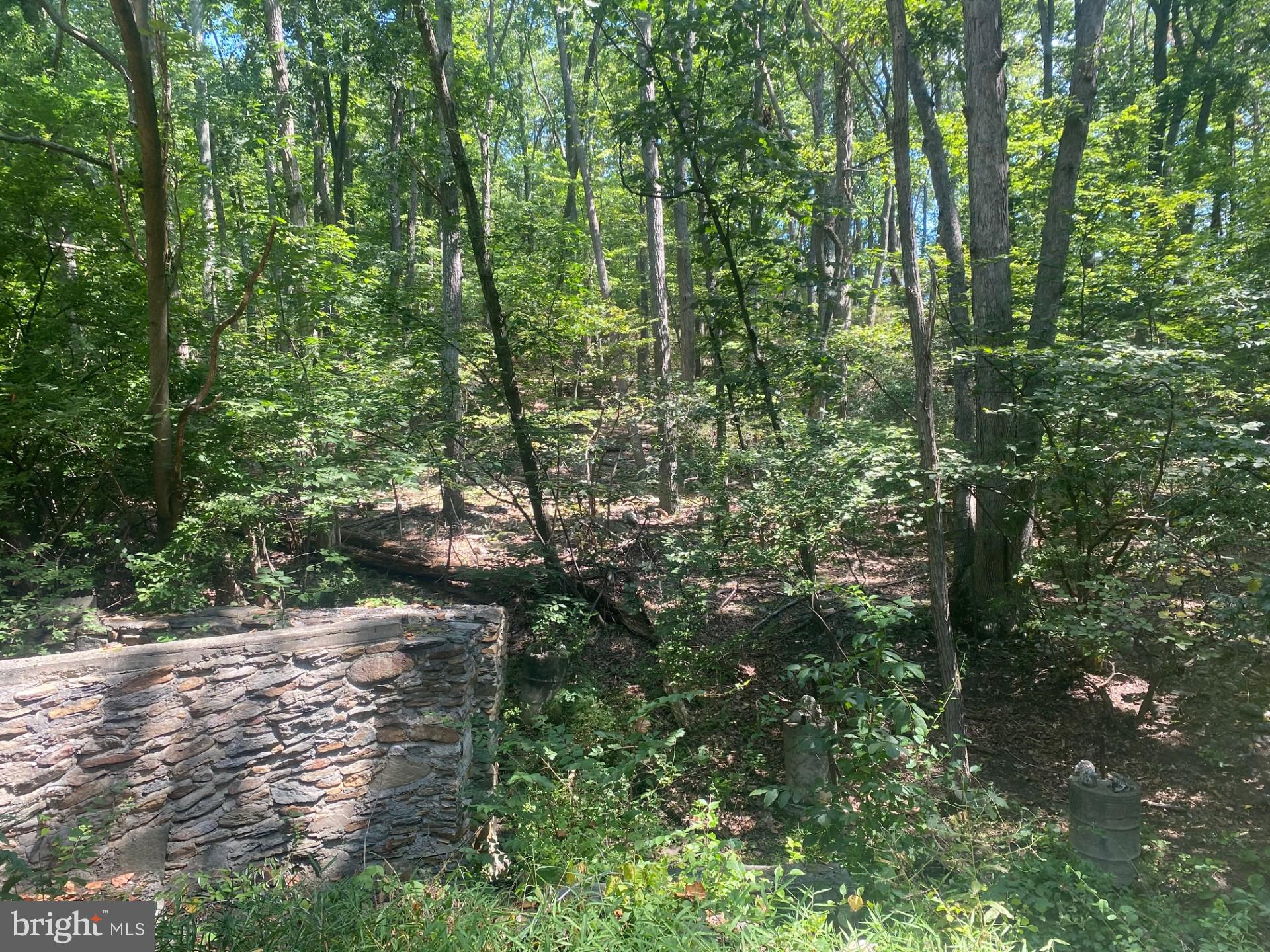 BRADDOCK HEIGHTS - Residential