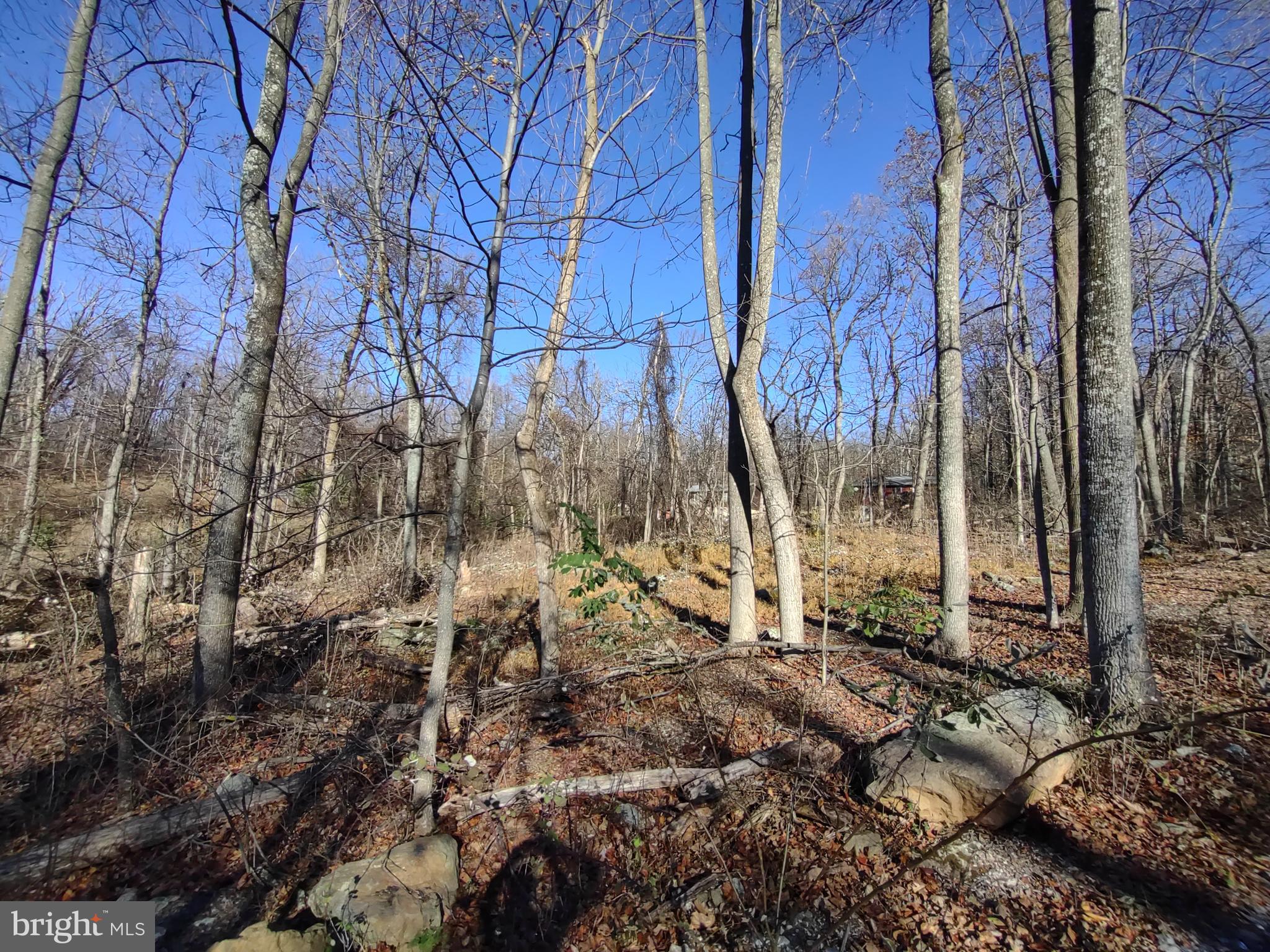 BLUE MOUNTAIN - Land
