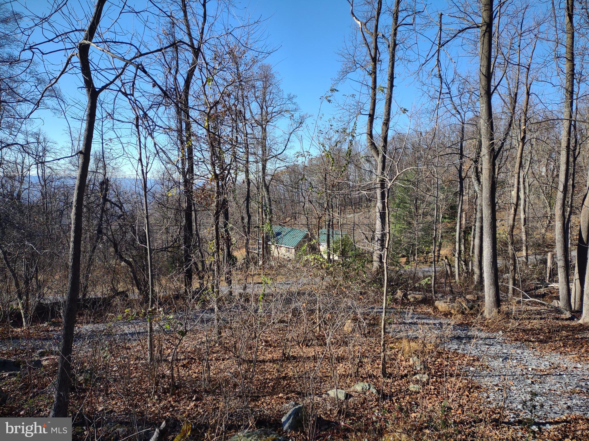 BLUE MOUNTAIN - Land