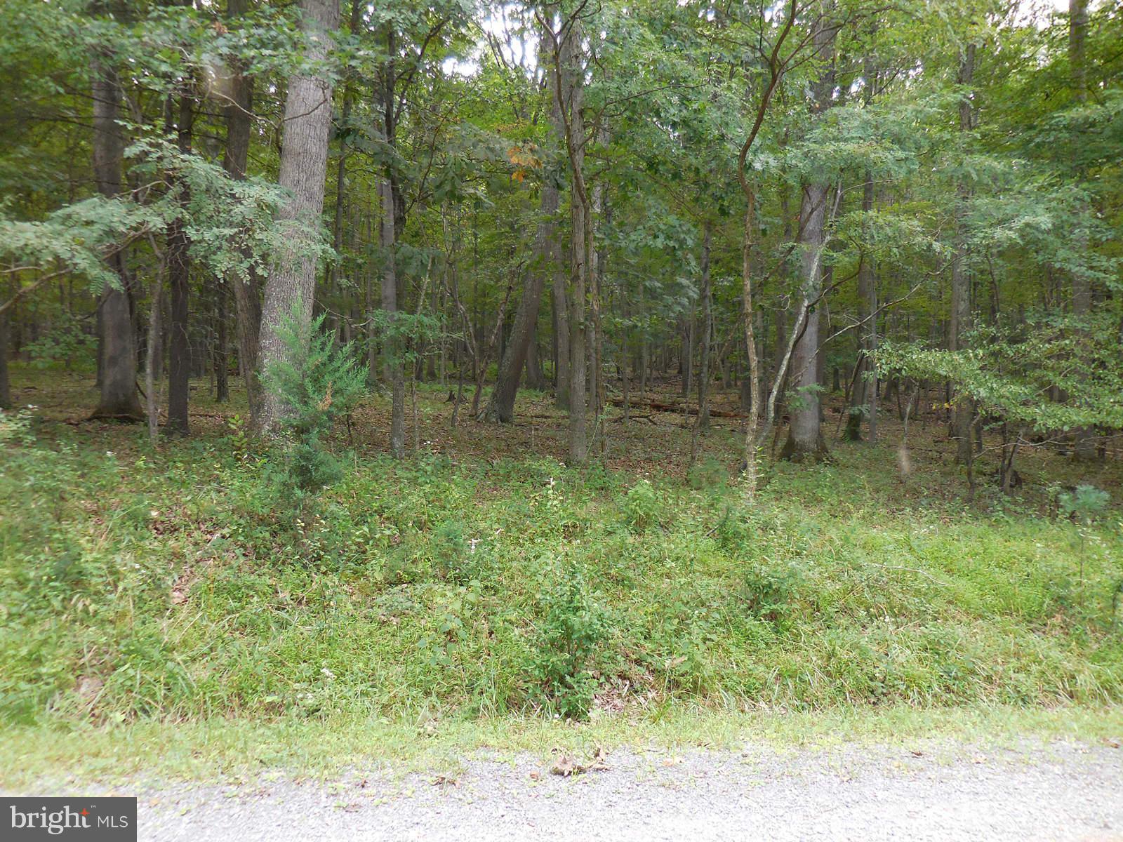 TROUT POND - Land
