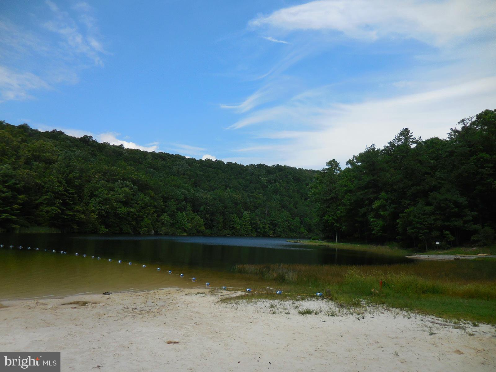 TROUT POND - Land