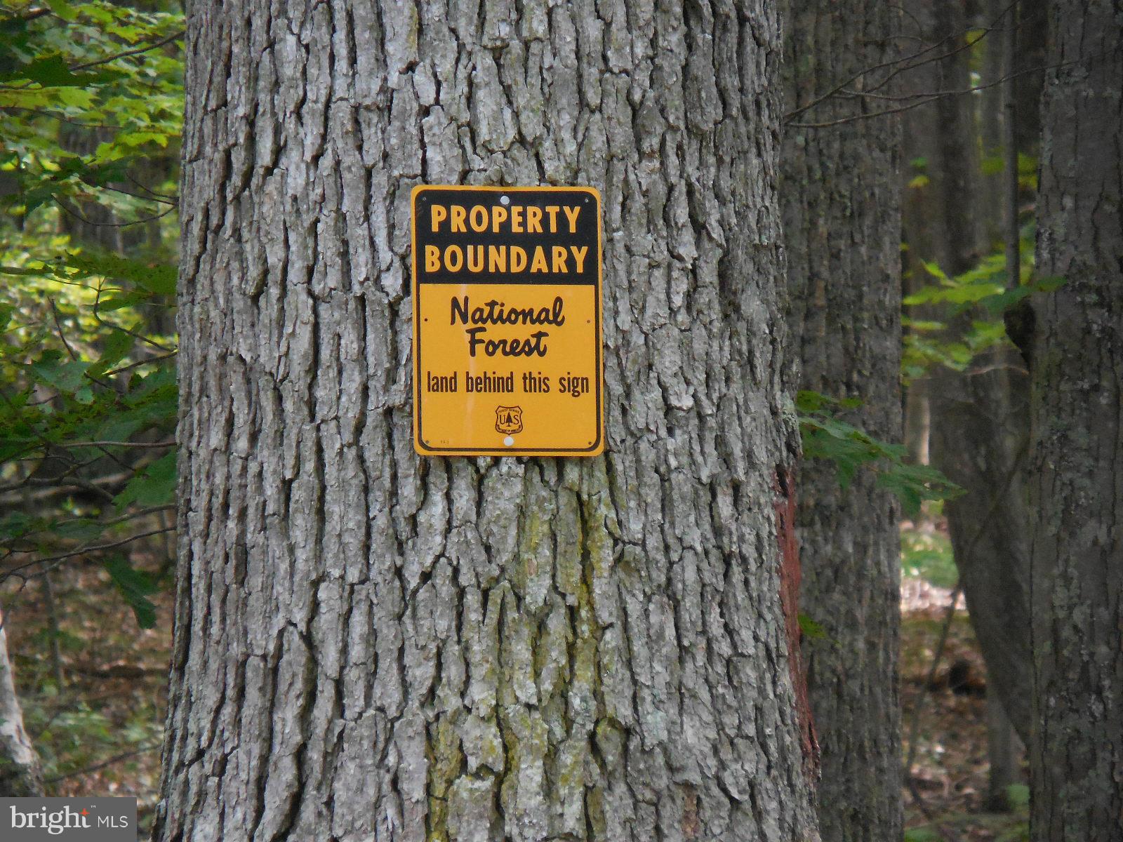 TROUT POND - Land