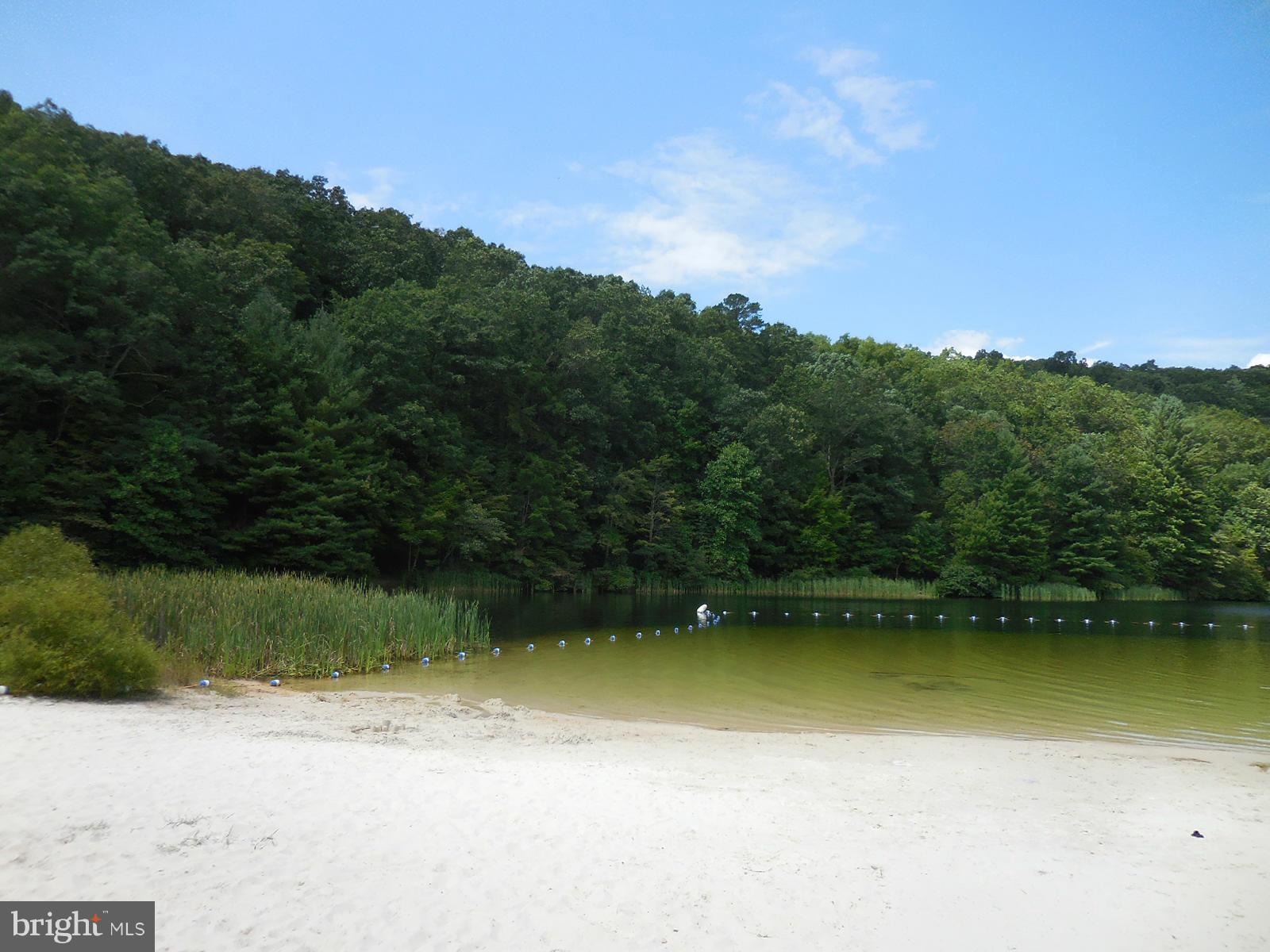 TROUT POND - Land