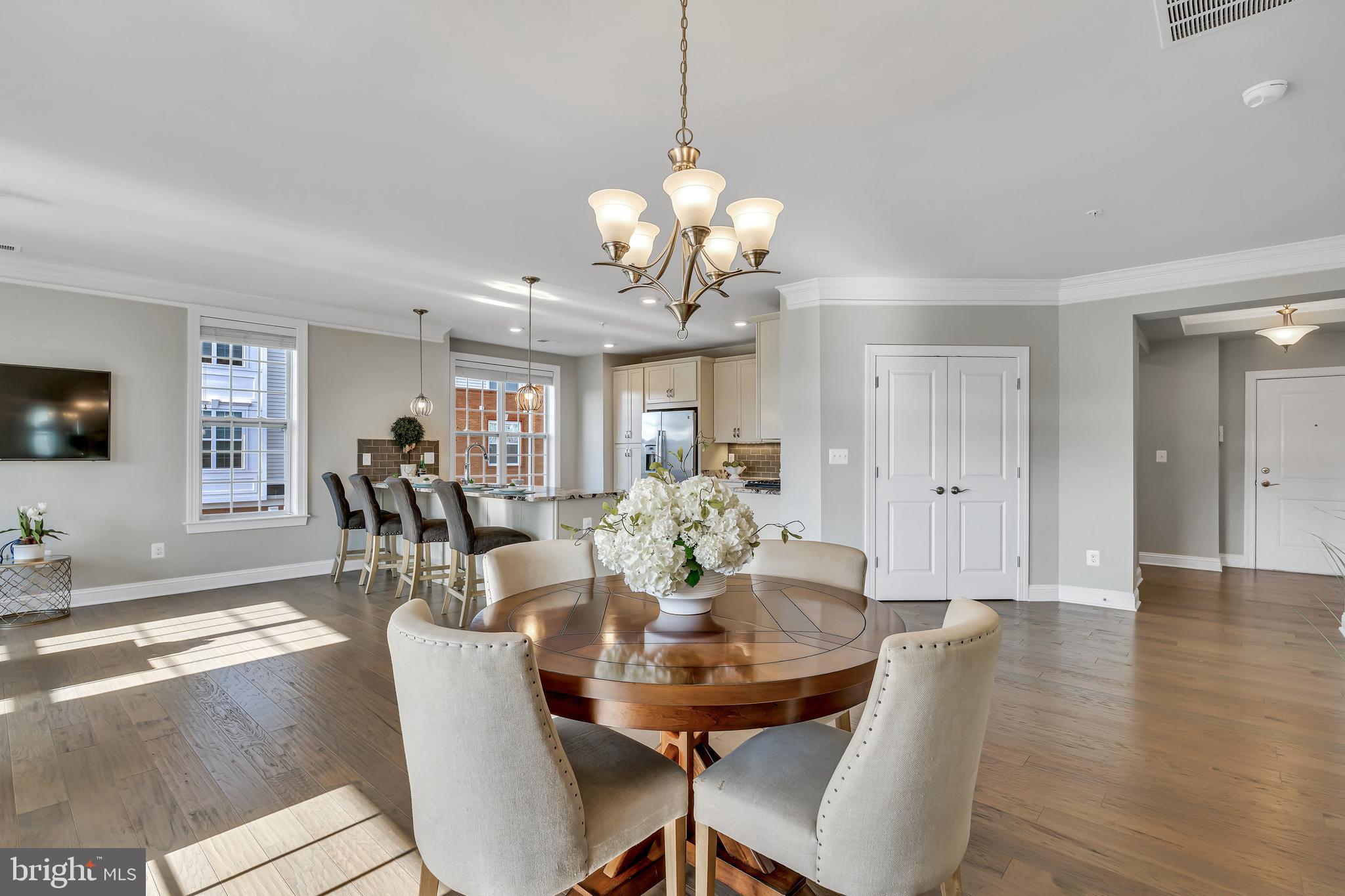 REGENCY AT ASHBURN - Residential