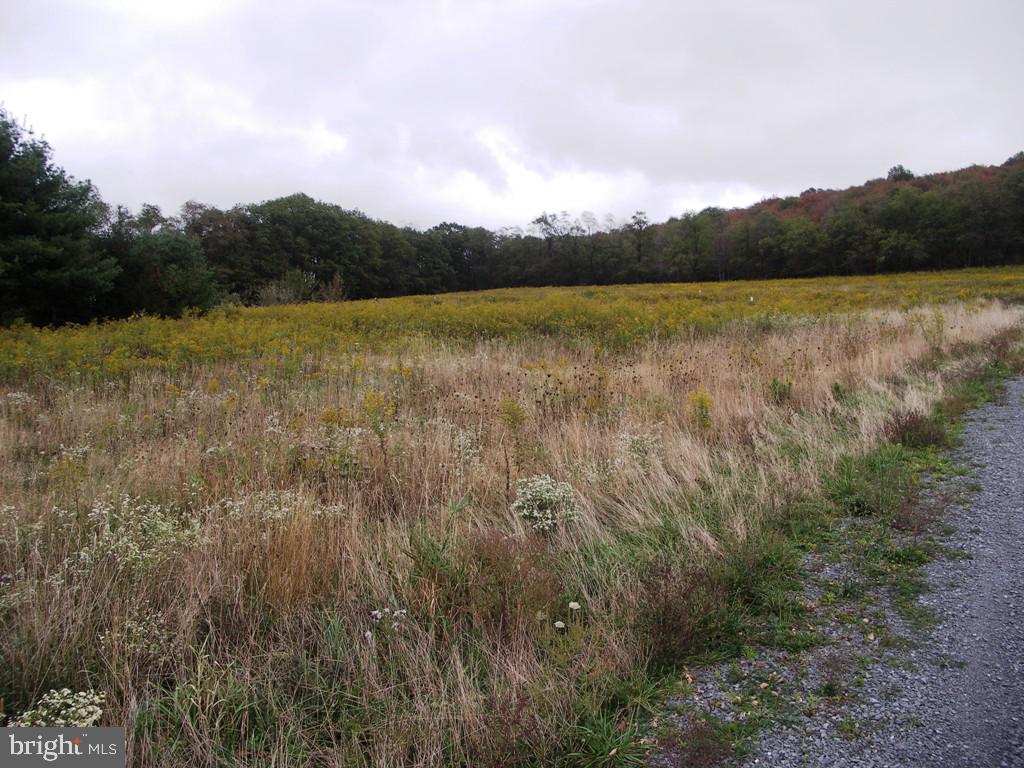 THE HOMESTEAD - Land