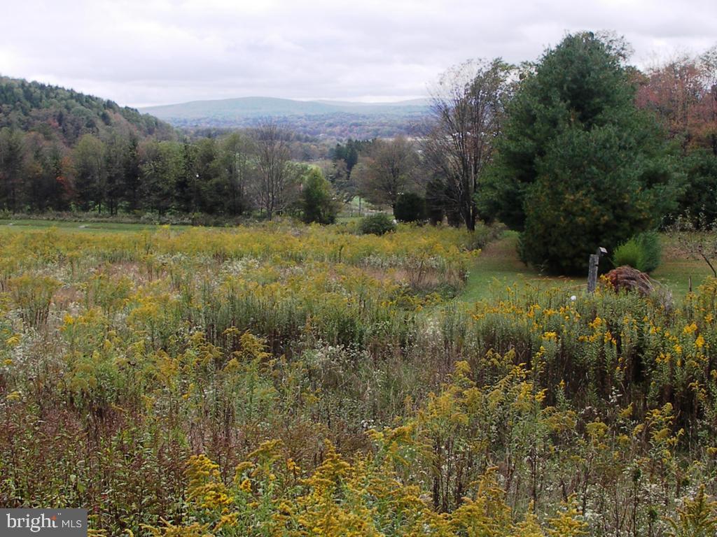 THE HOMESTEAD - Land